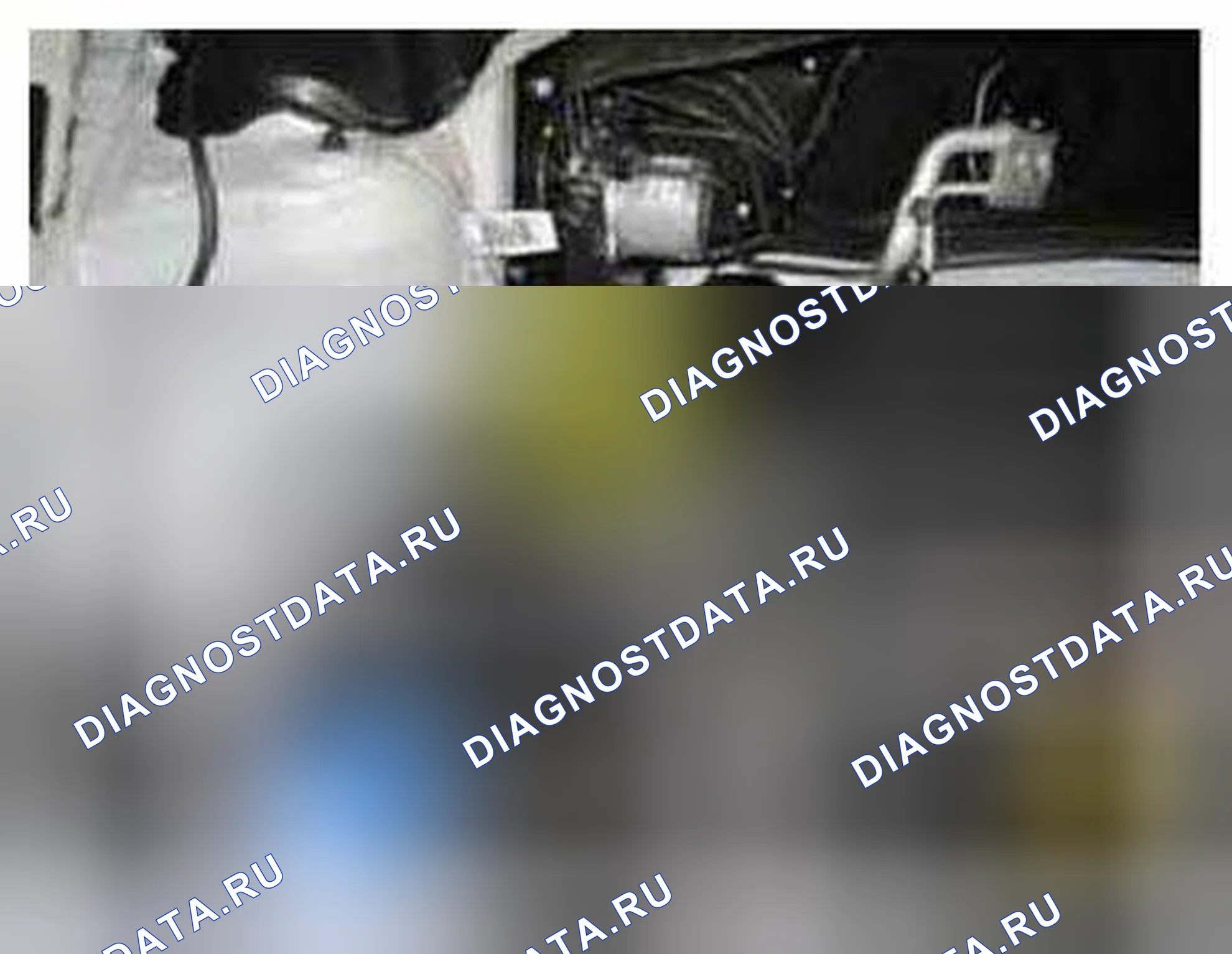 Рис. 224: Расположение компонентов. BMW 6 серия F06/F13/F12