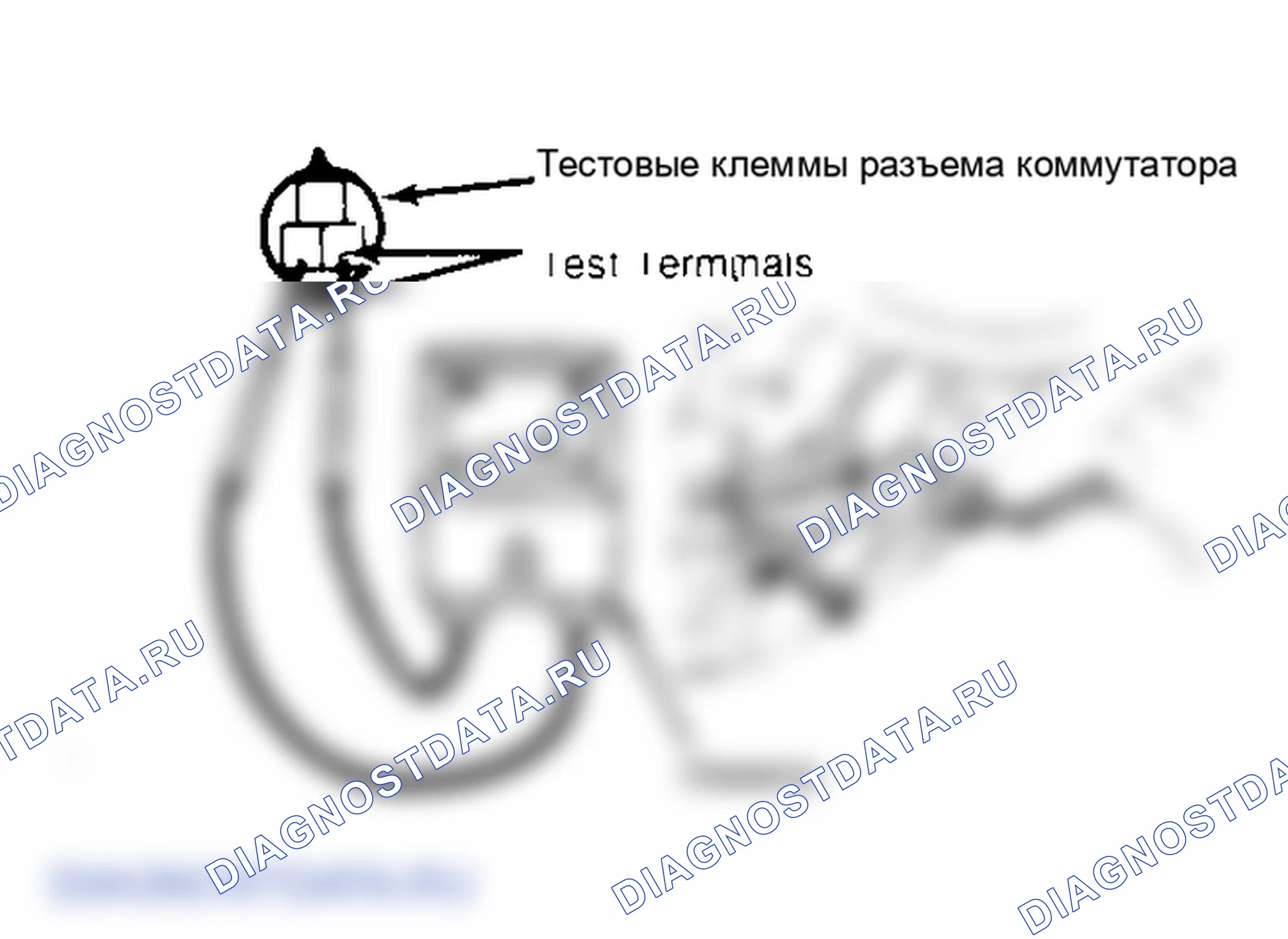 Рис. 4: Тестовые клеммы нейтрального выключателя безопасности. Toyota 4Runner I