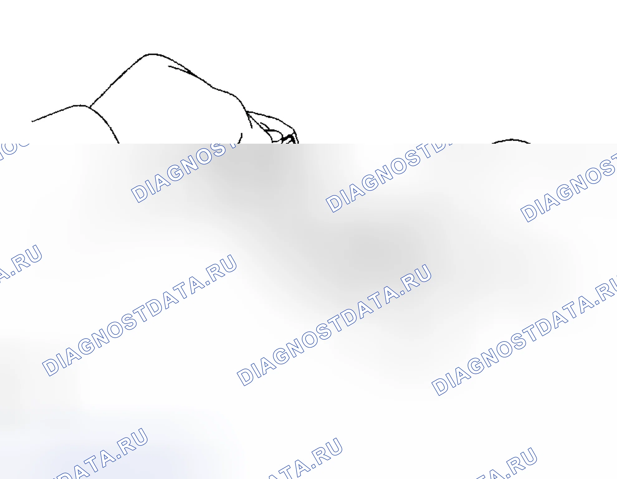 Рис. 421. Kia Sorento I