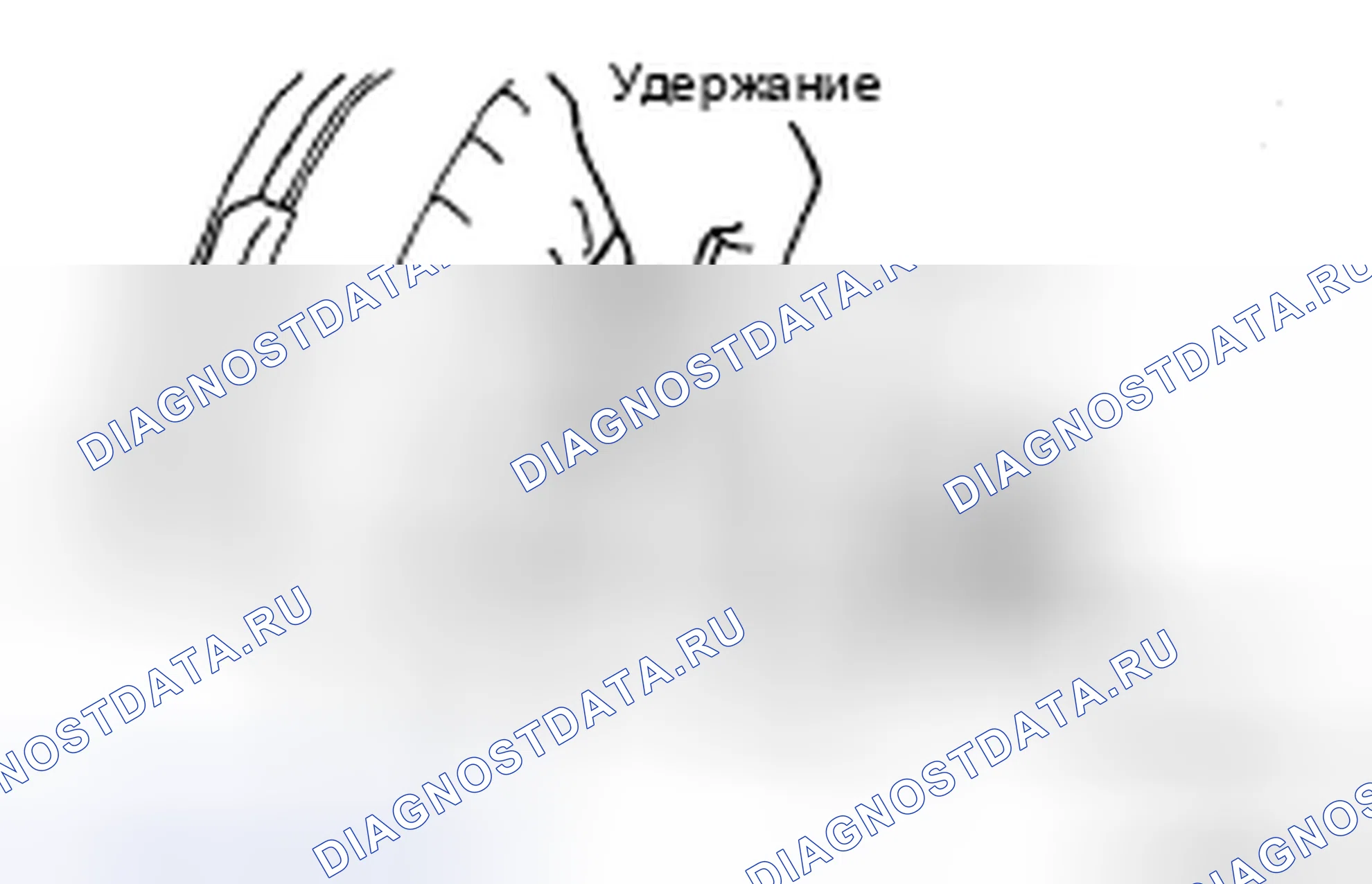 Рис. 202. Kia Sorento I рестайлинг
