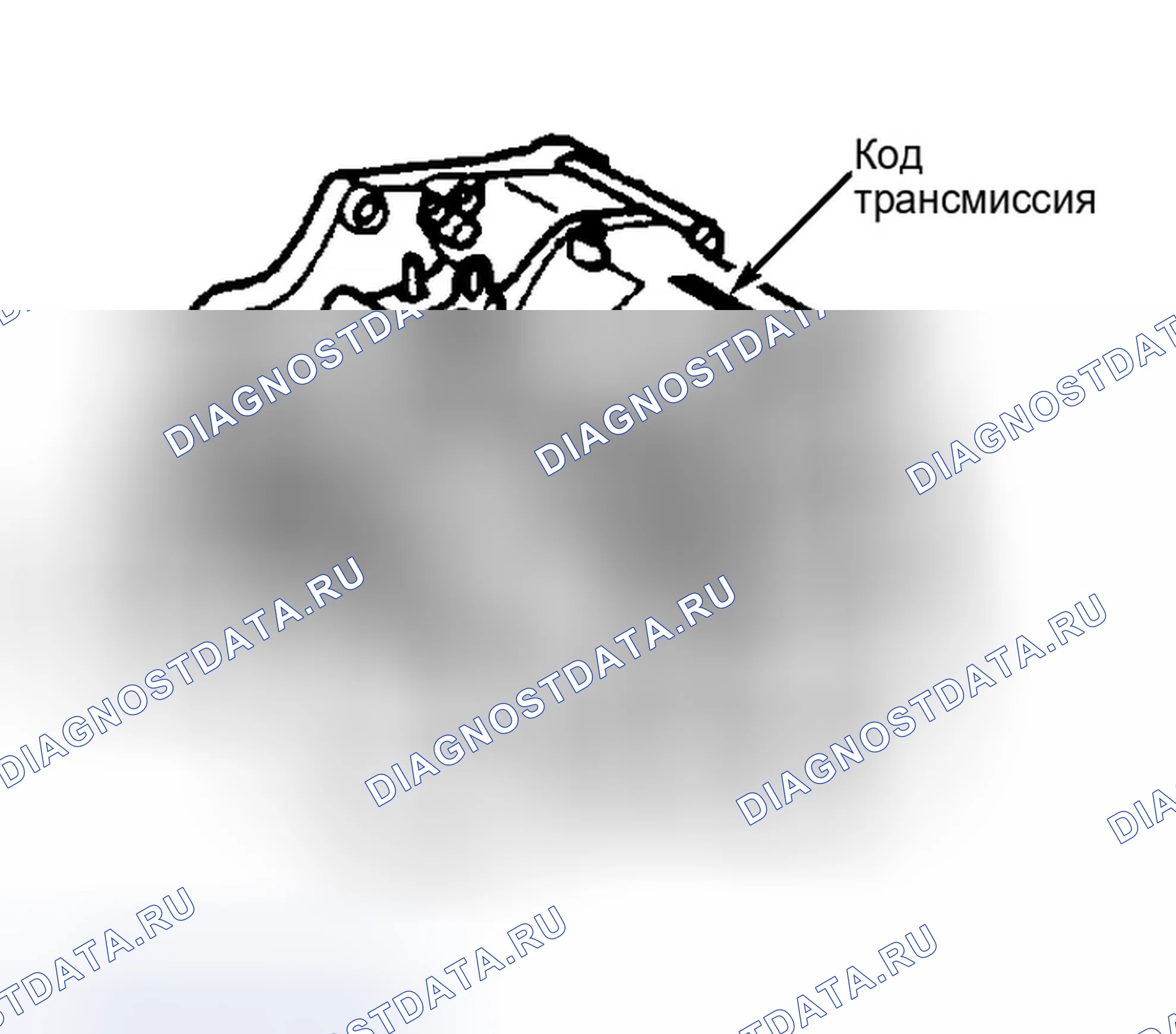 Рис. 5: ИДЕНТИФИКАЦИЯ. Honda CR-V II