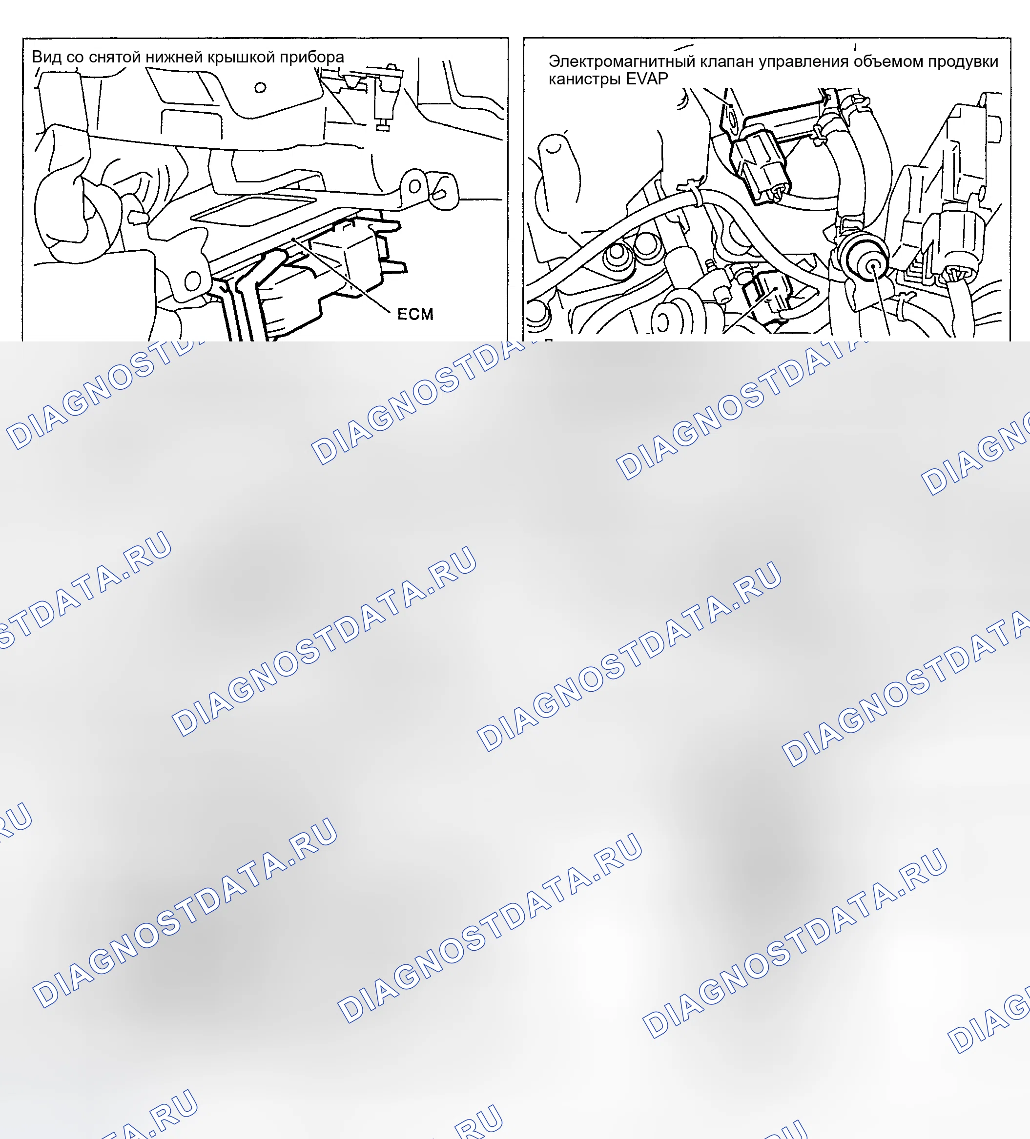 Рис. 47. Nissan Sentra B15