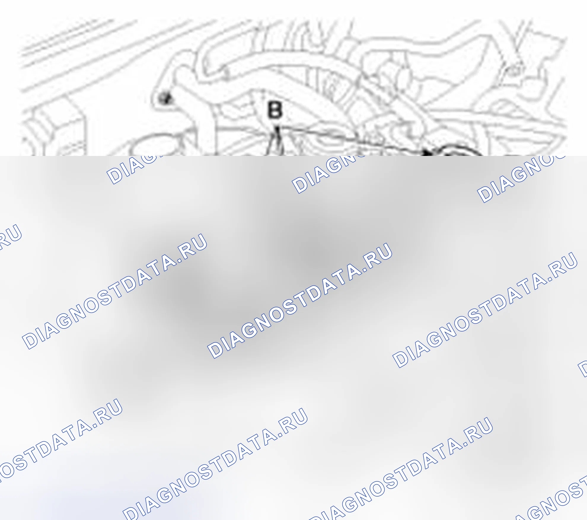 Рис. 389. Haval Beast (Shenshou) I