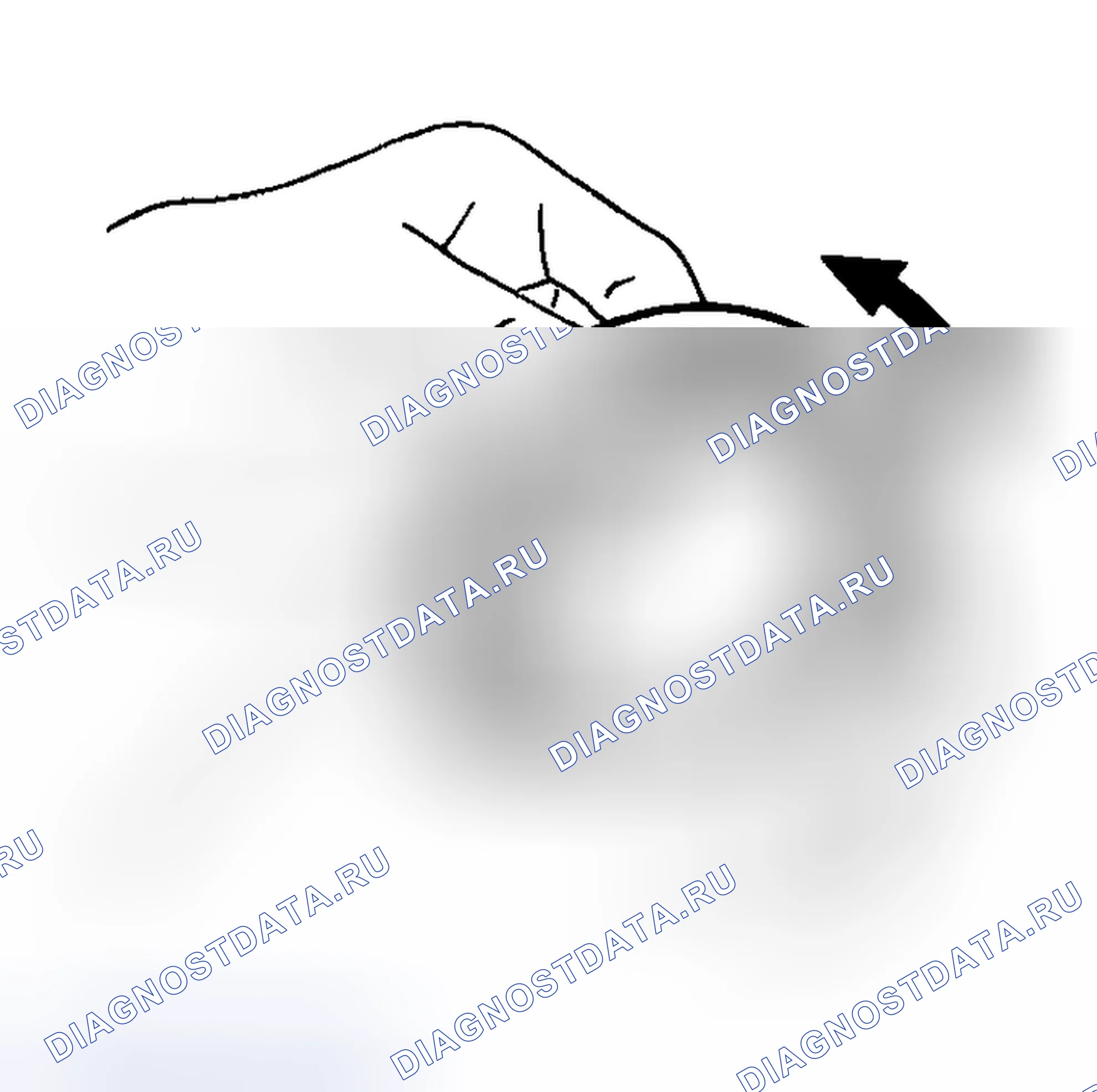 Рис. 219: ПОДШИПНИК. Honda Street I