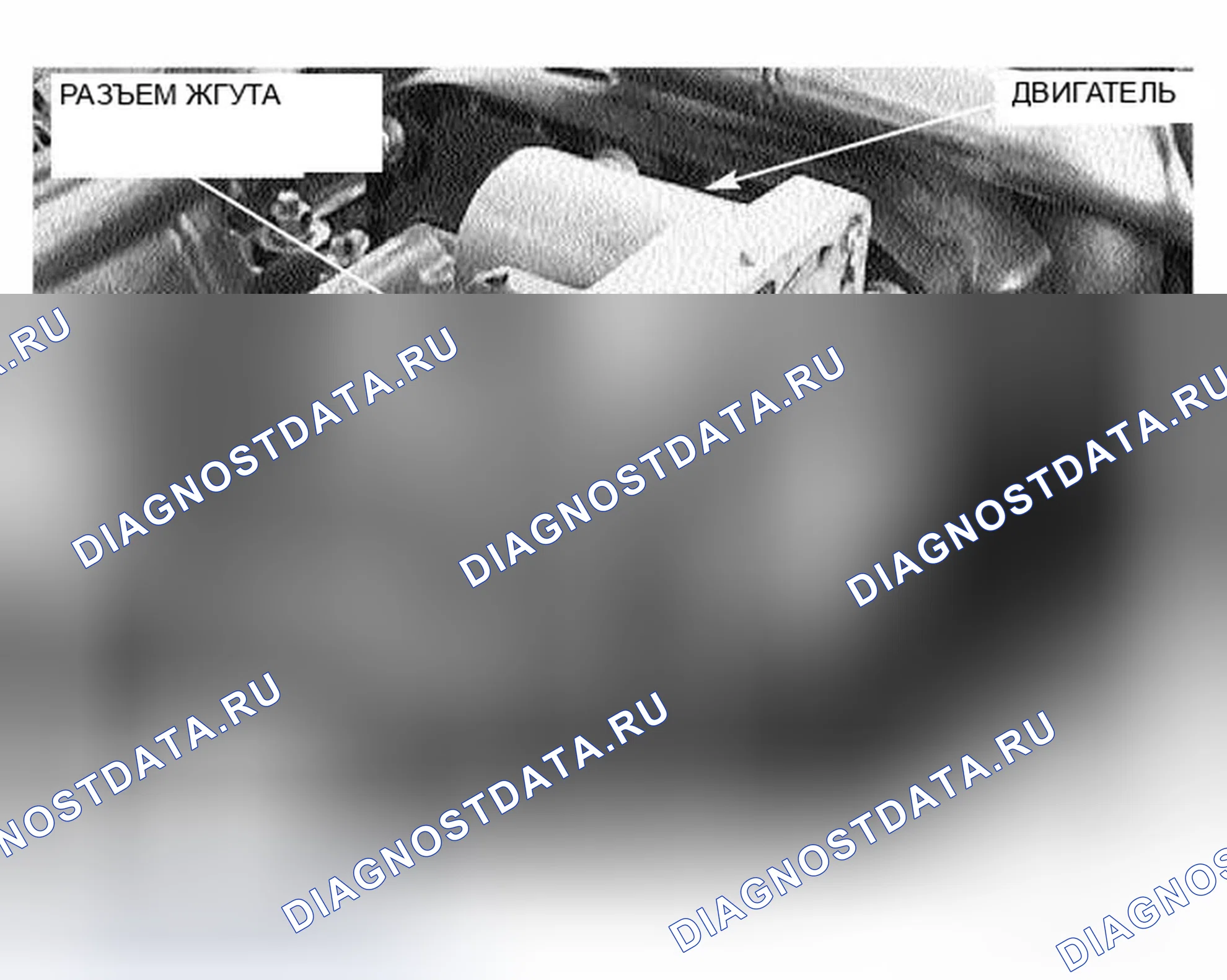 Рис. 1366. BMW X5 E53 рестайлинг