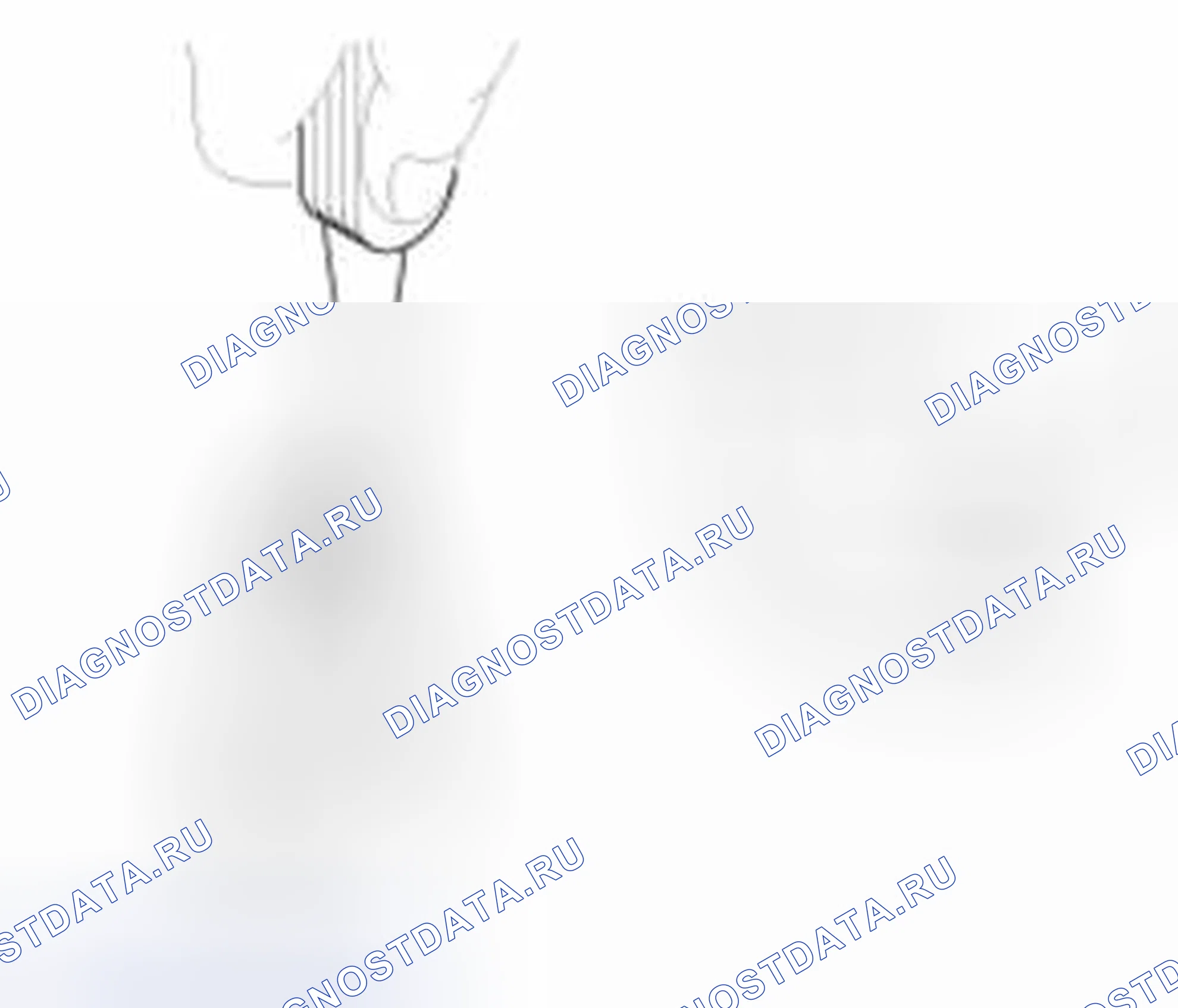 Рис. 19. Haval Beast (Shenshou) I