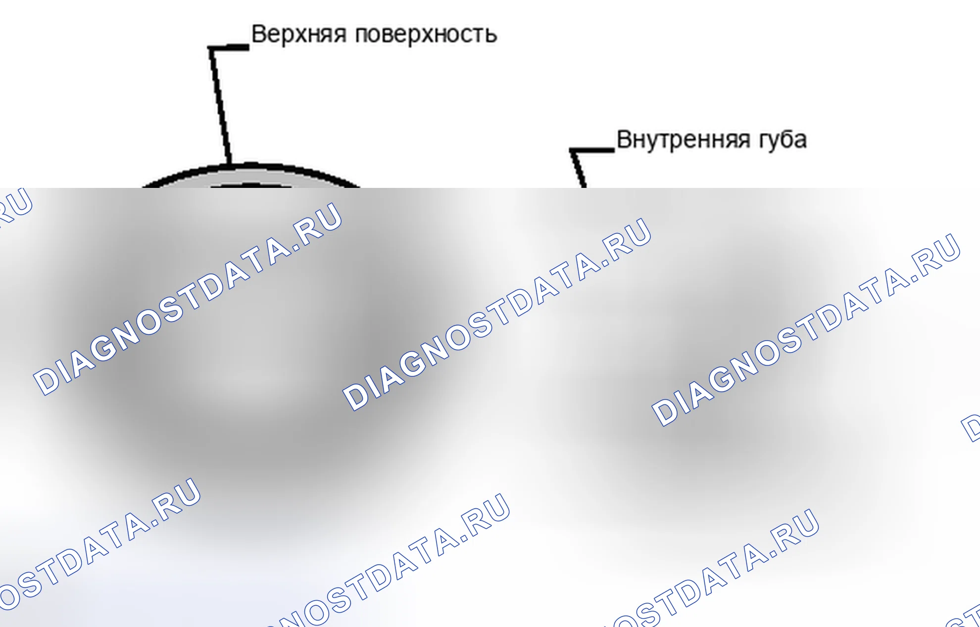 Рис. 46. Toyota RAV4 III рестайлинг