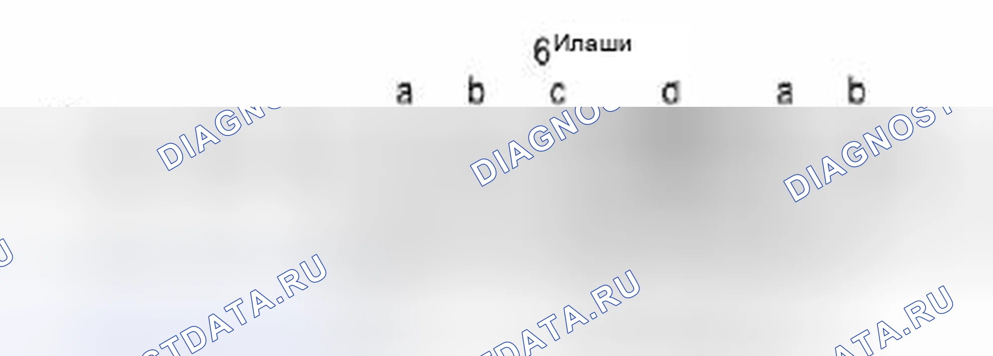 Рис. 42. Suzuki Equator I