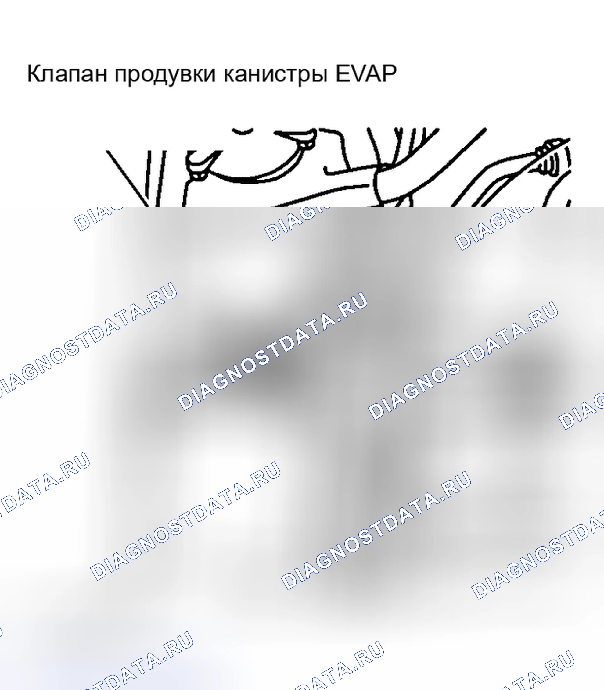 Рис. 13. Kia Picanto II рестайлинг