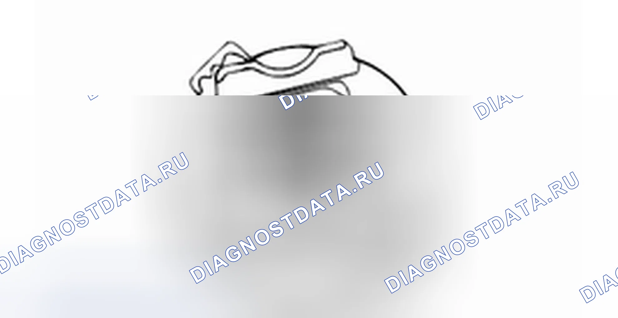 Сборка дифференциала с ограниченным проскальзыванием (LSD). Hyundai H-1 A1
