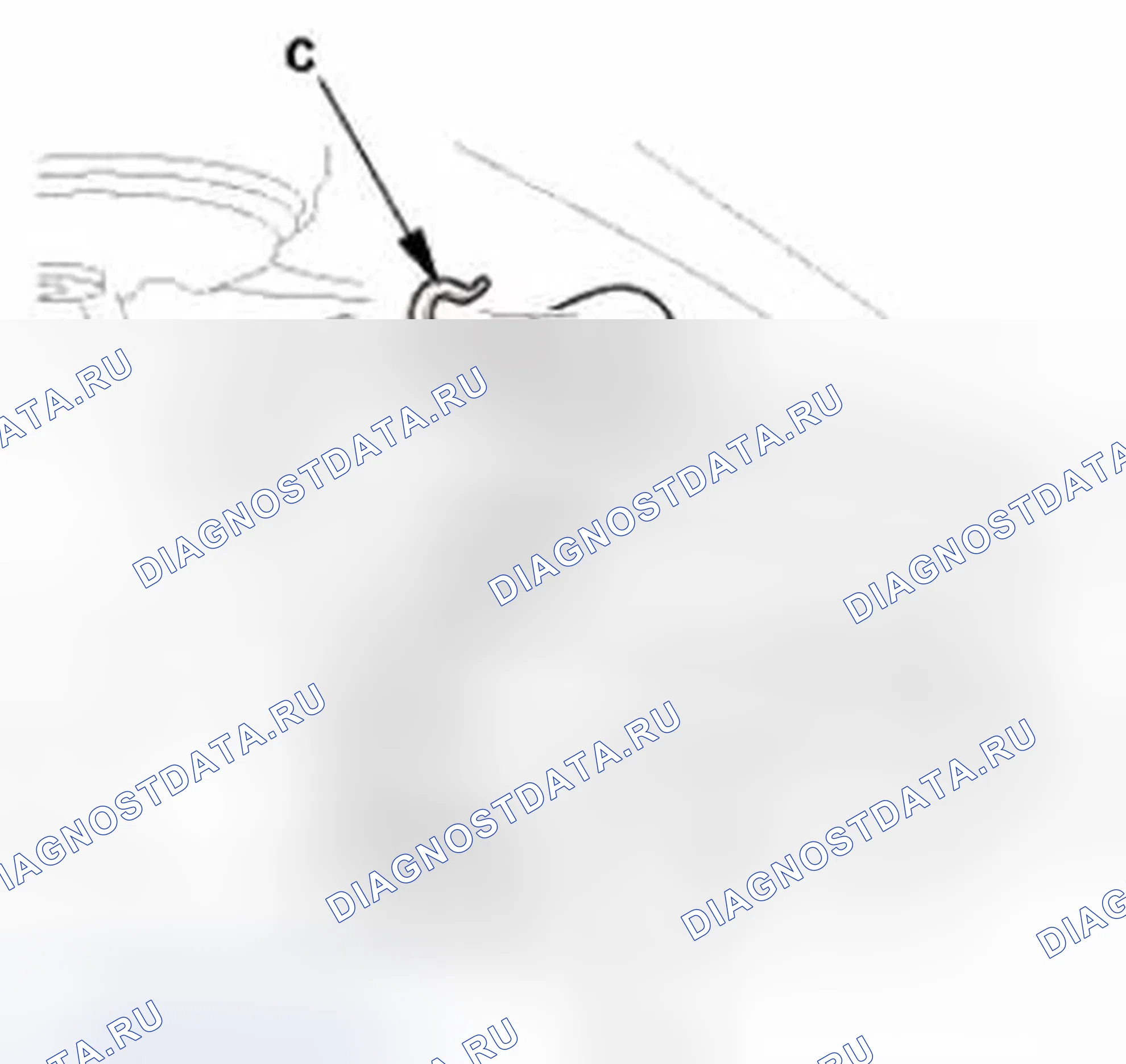 Рис. 274. Honda CR-V IV