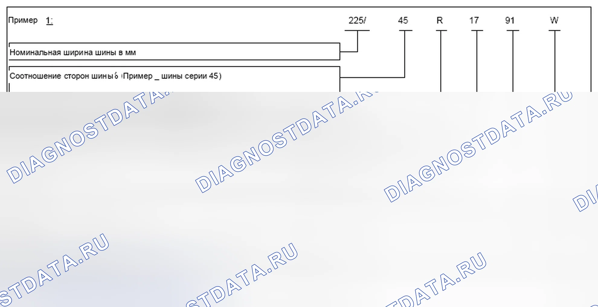 Рис. 124: Обозначение шины - GF40,10-P-1020-xthagx2 01A. Kia Soul I