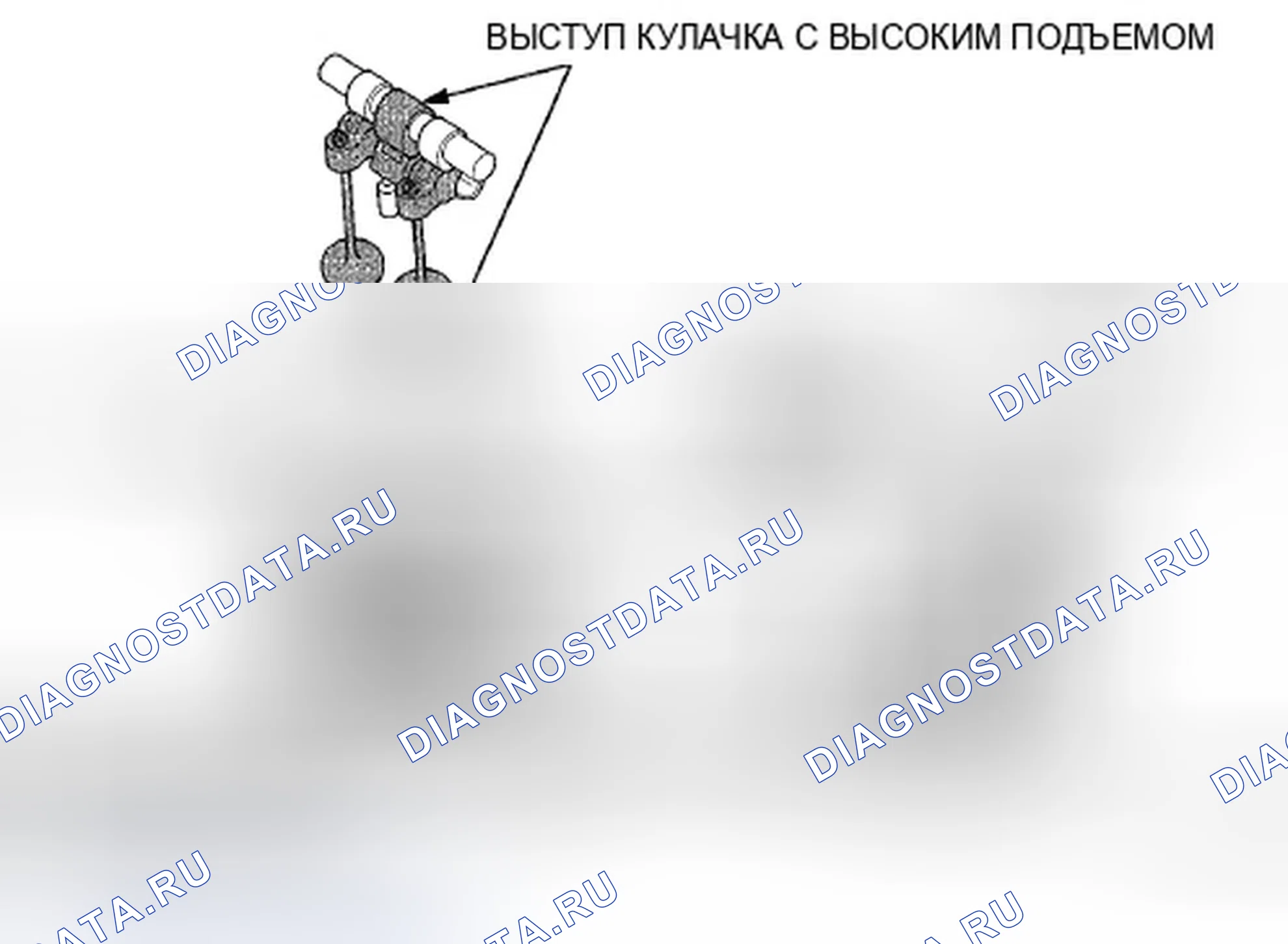 Рис. 1031. Honda Accord VIII рестайлинг