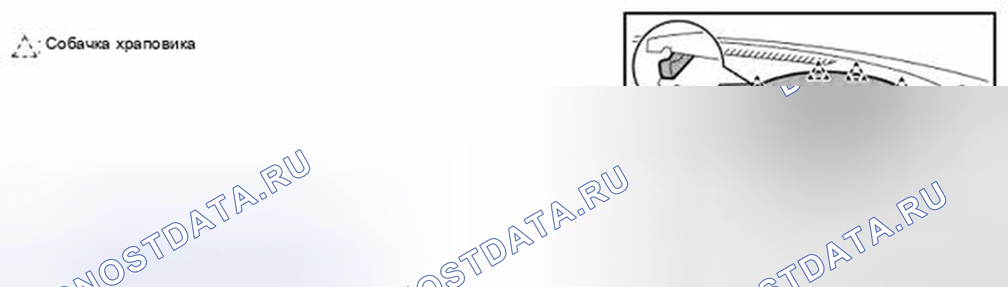 Рис. 14. Audi RS6 C8