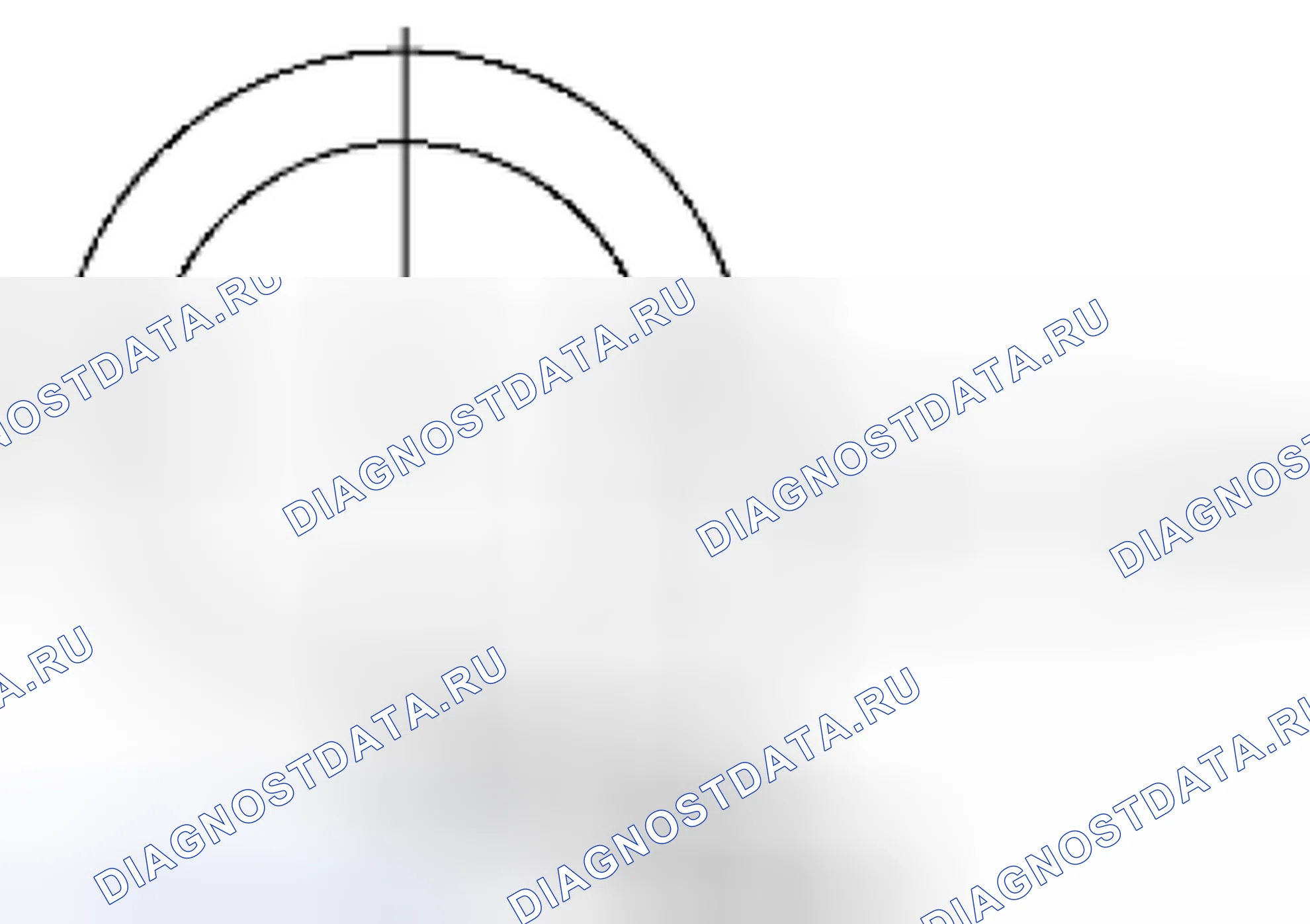 Рис. 216. Suzuki Equator I