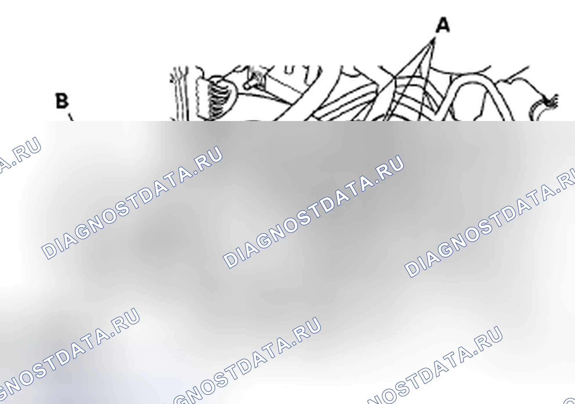 Рис. 36: Замена фильтра канистры EVAP. Honda Fit GE