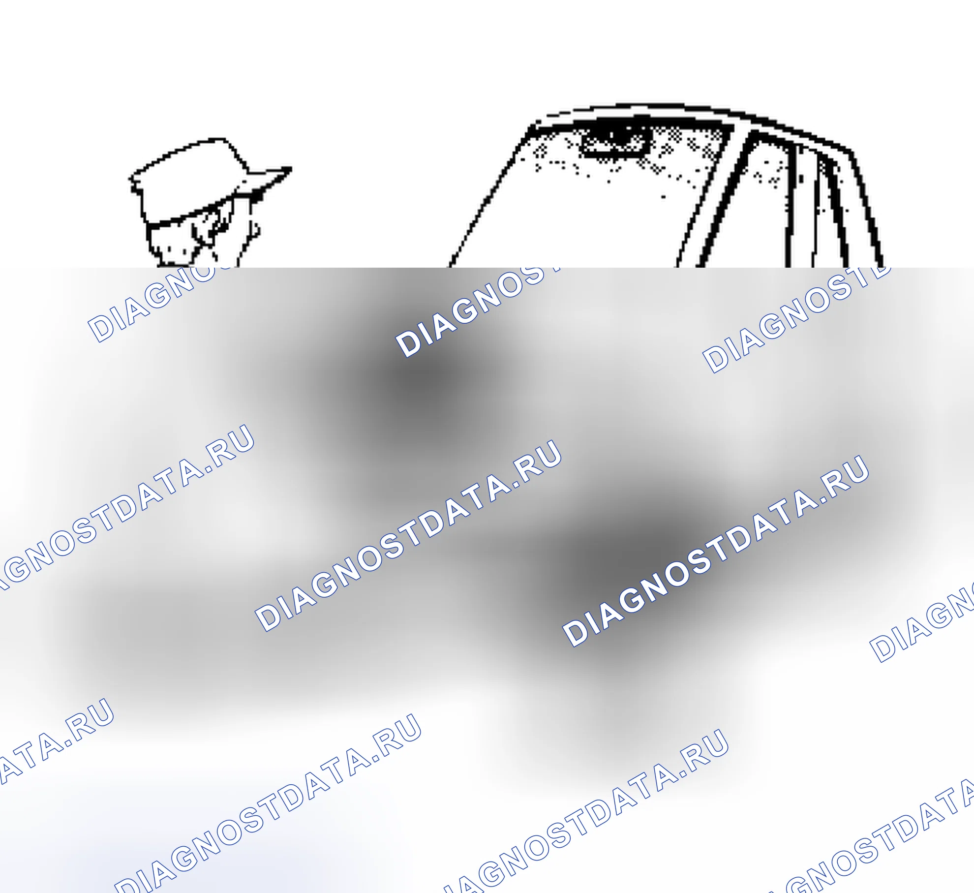 Рис. 2. Nissan Murano Z50