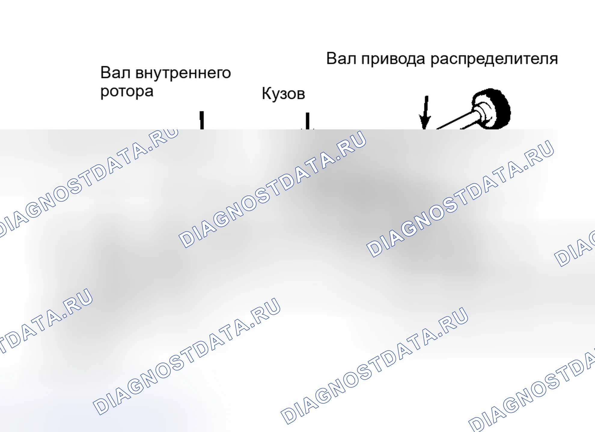 Рис. 32: Типовой масляный насос роторного типа. Hyundai IONIQ 6 I