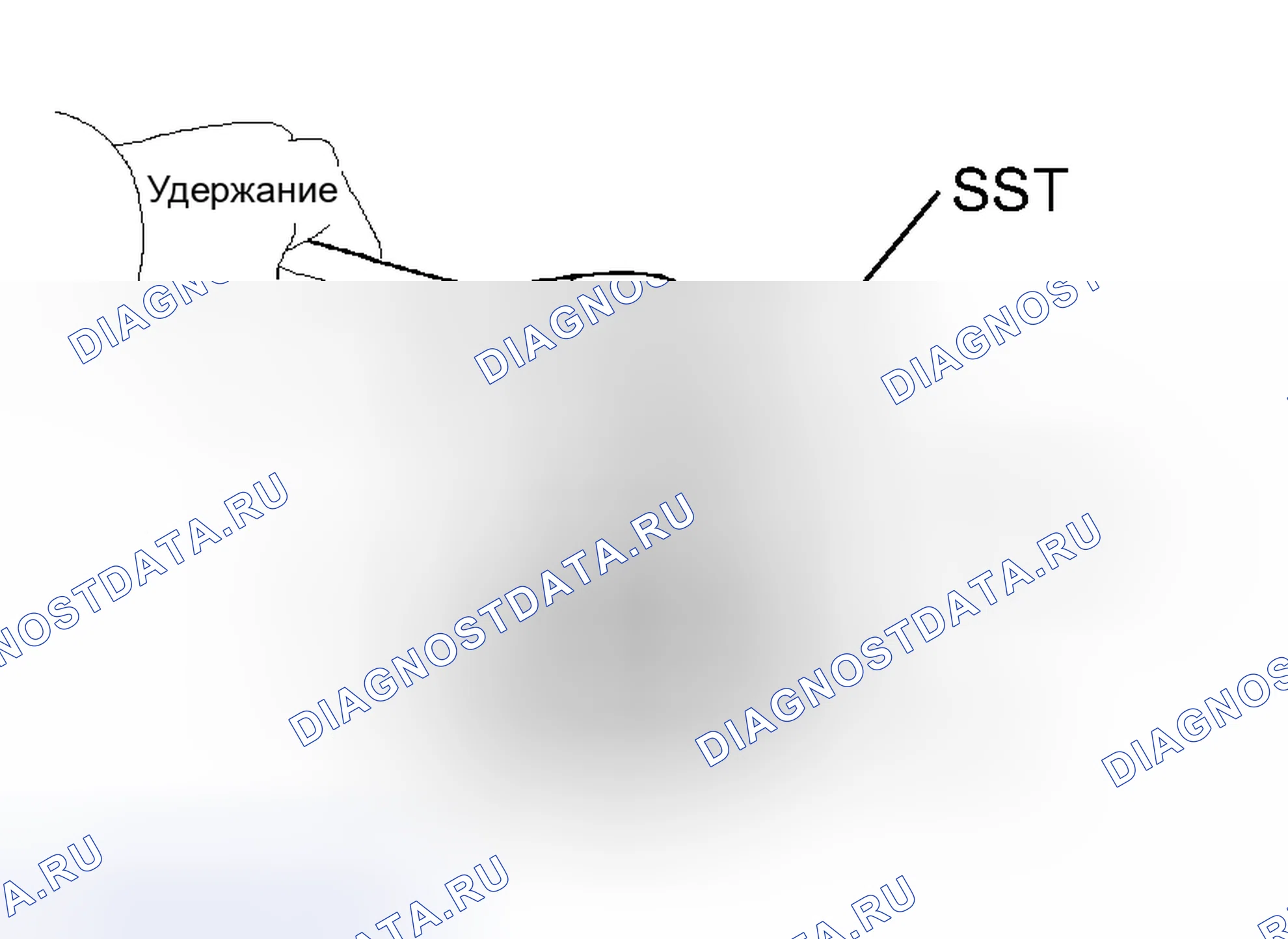 Рис. 268. Toyota Avalon XX30