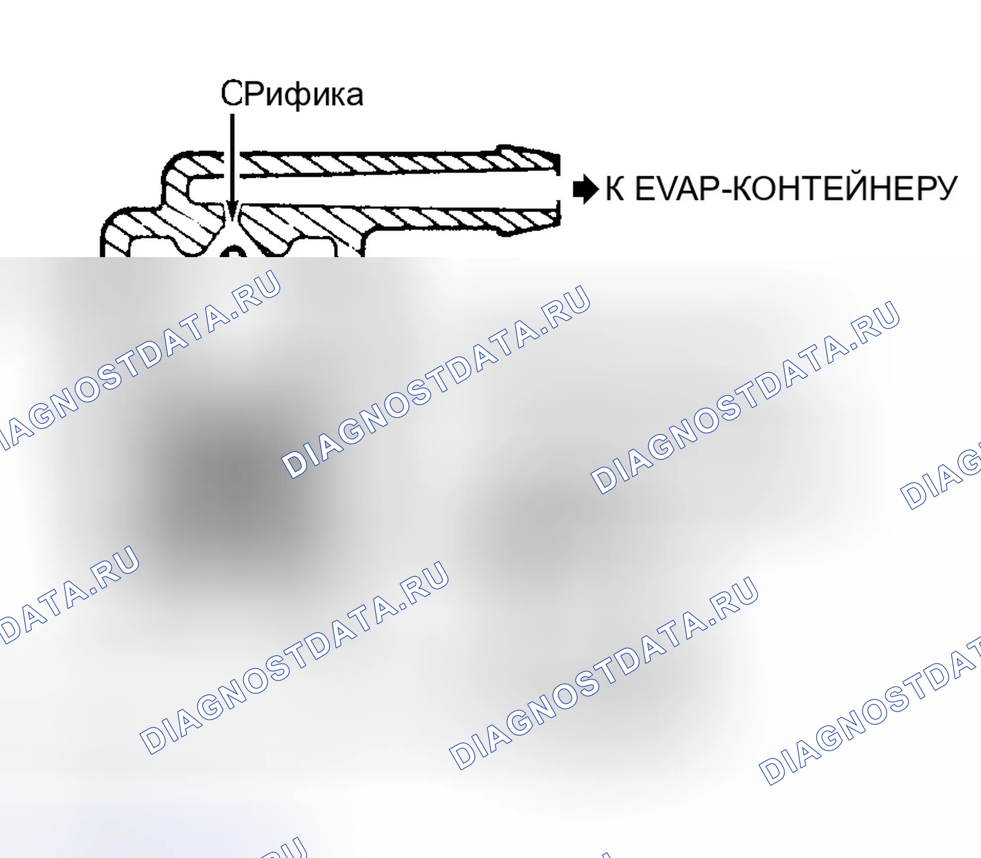 Рис. 8. Ford Escort ZX2 