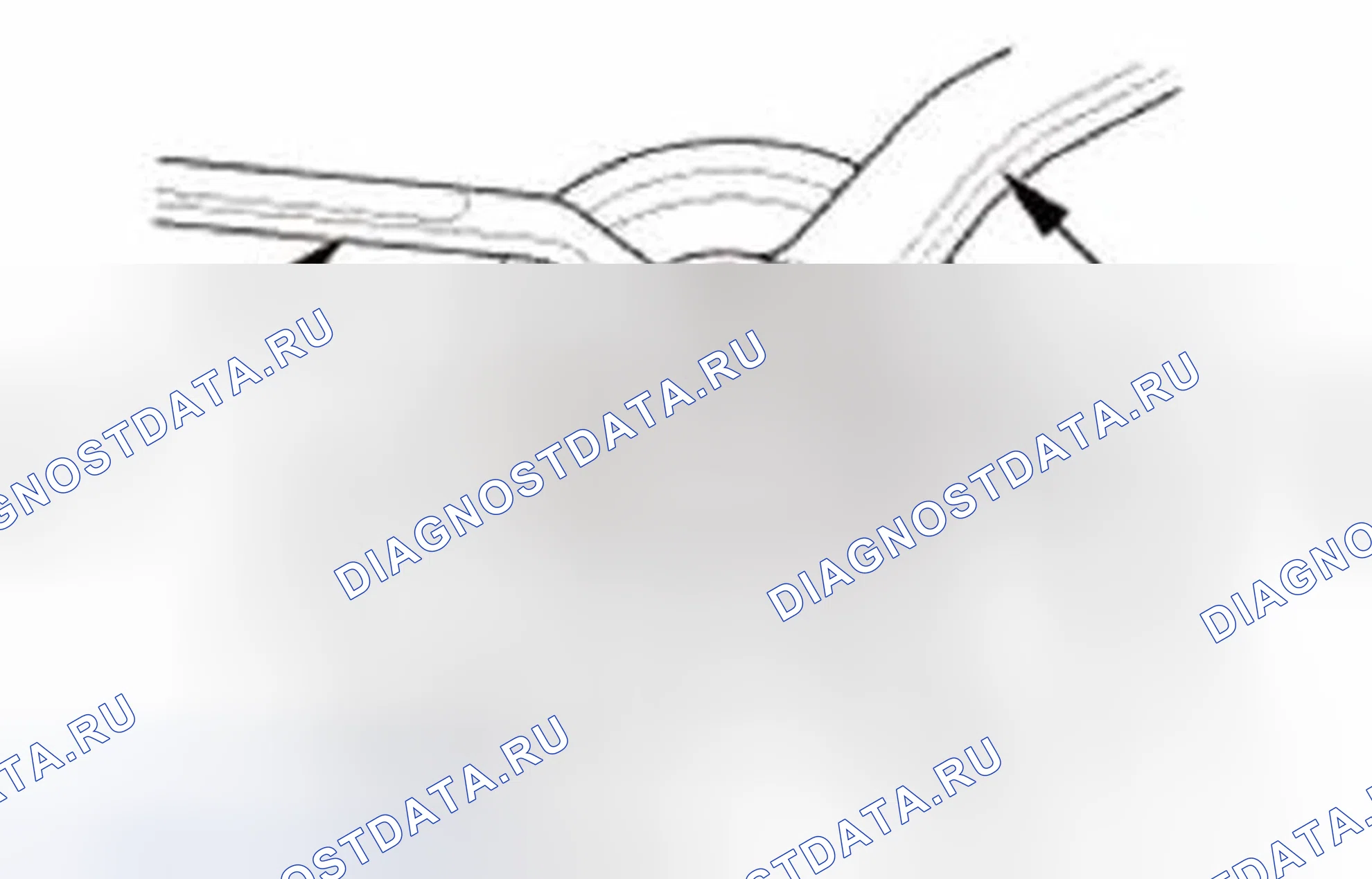 Рис. 67. Honda Civic IX