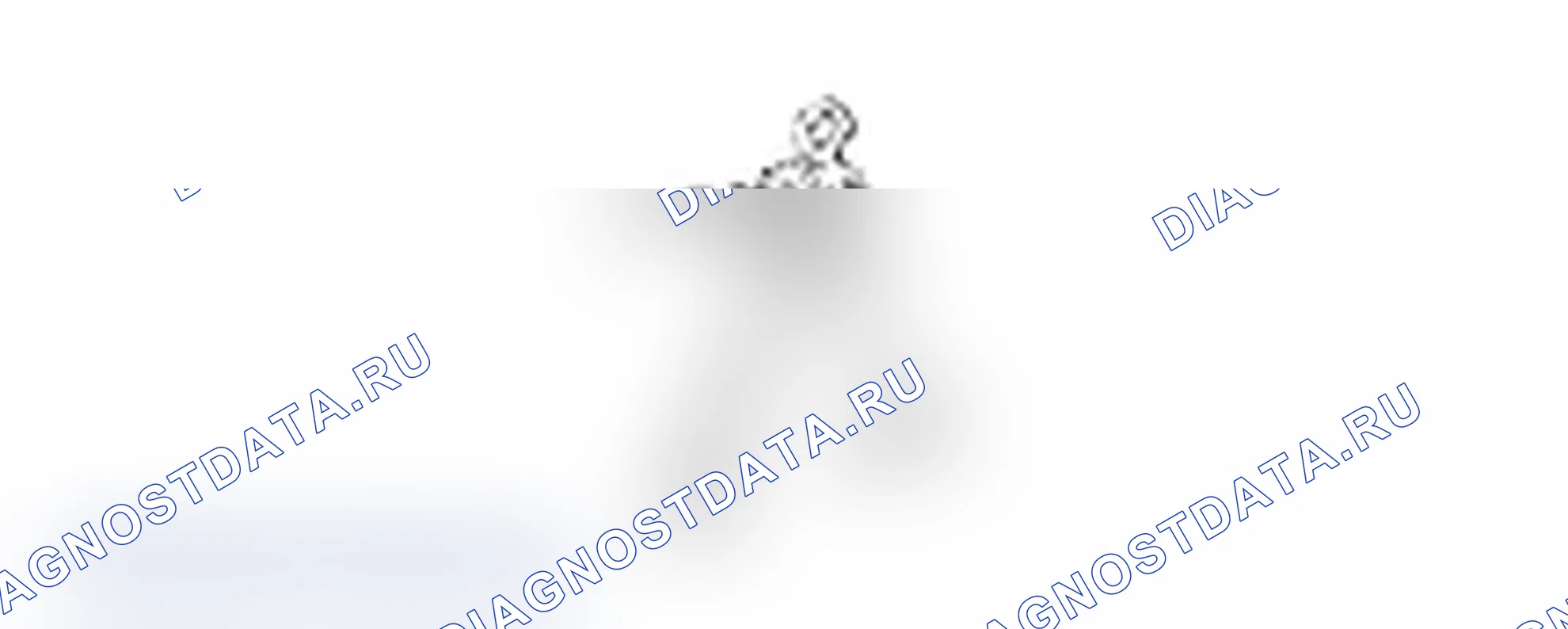 Рис. 28. Lexus IS F I