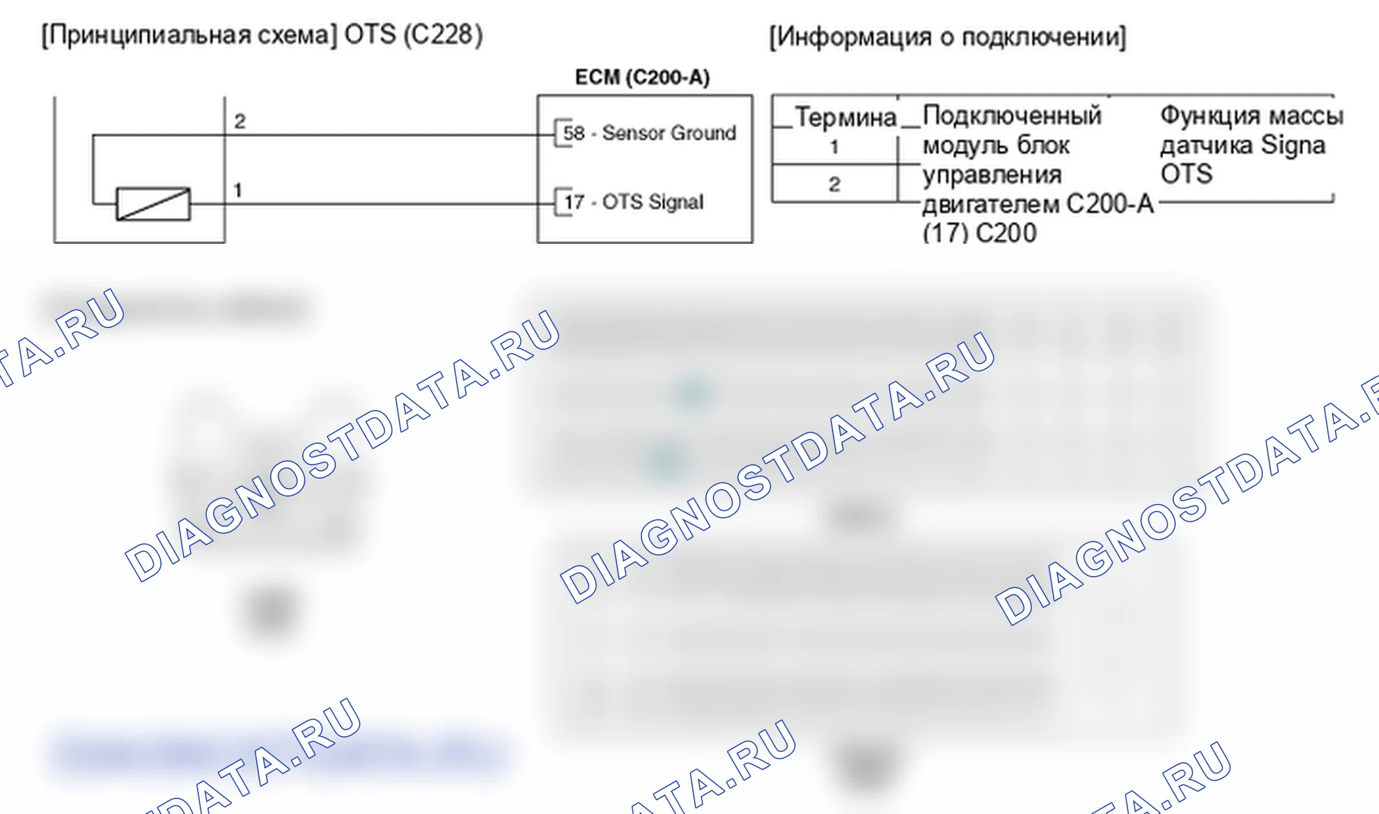 Фрагмент электросхемы: Датчик температуры масла CVVT (OTS). Hyundai Santafe Sport DMA