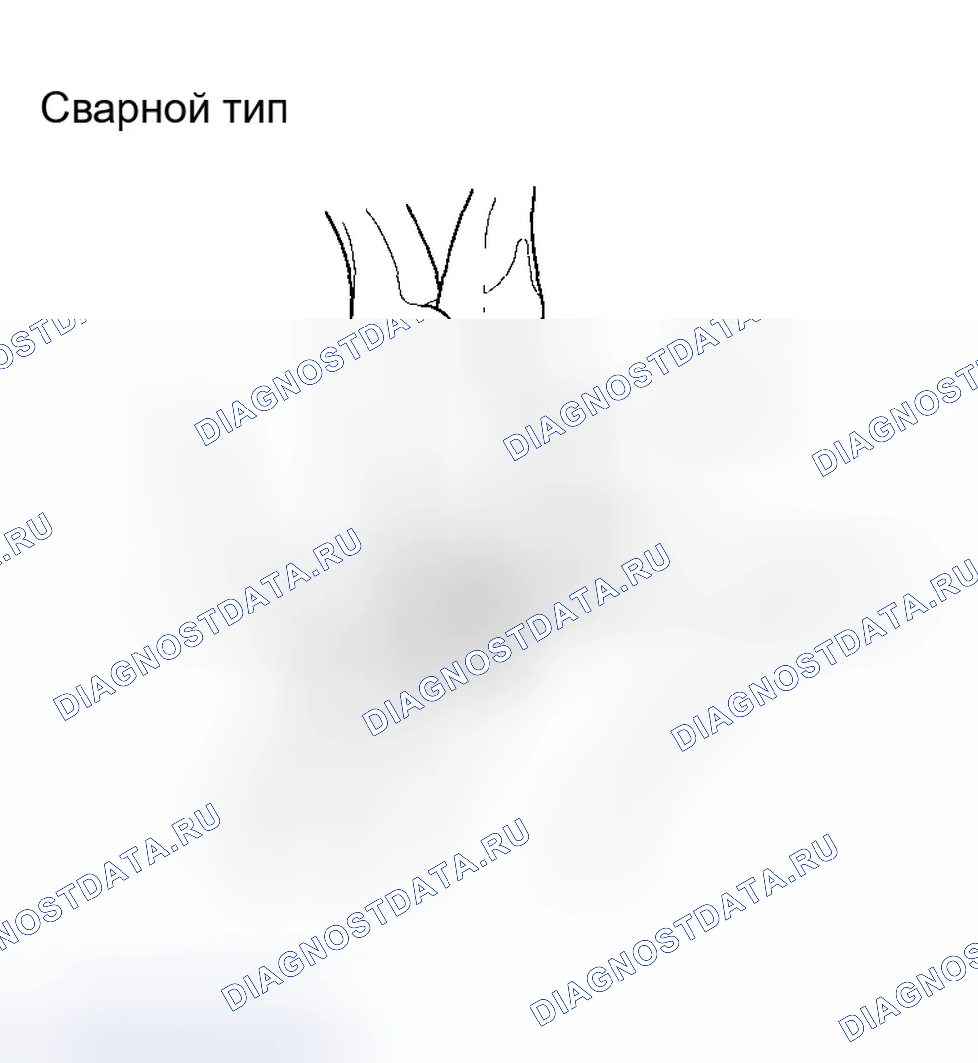 Рис. 115. Honda Accord VII рестайлинг