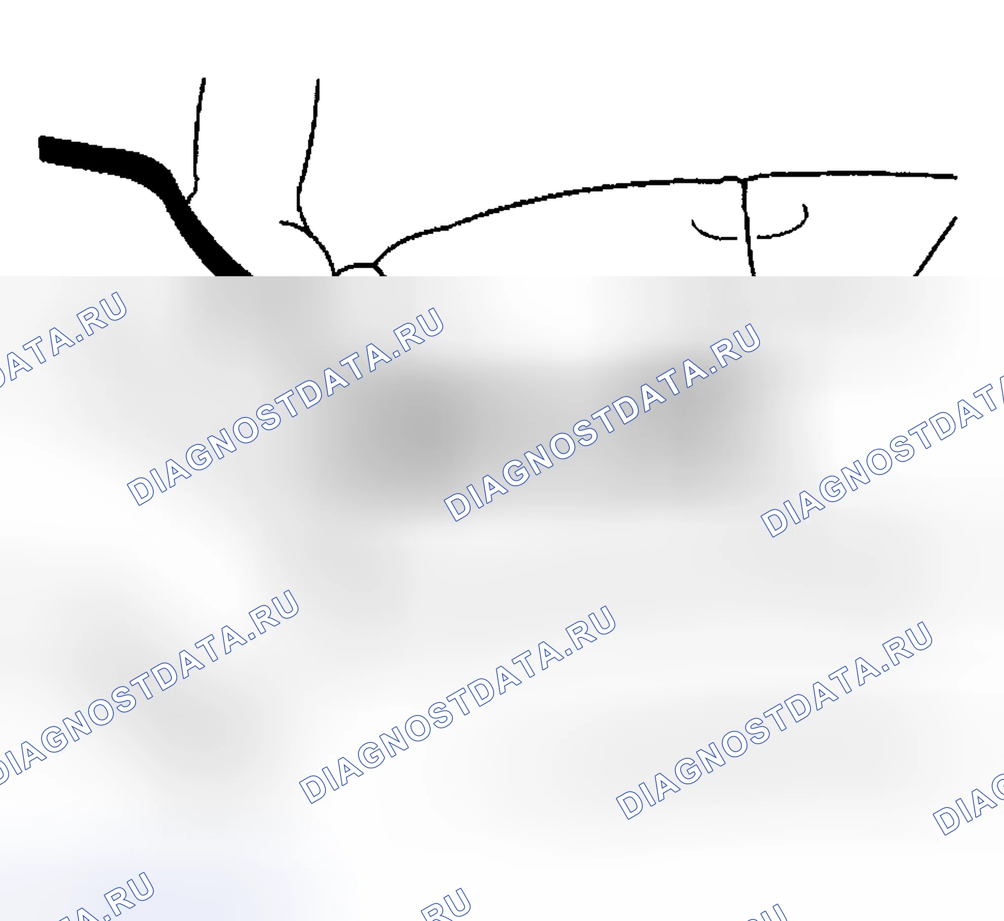 Рис. 201. Hyundai Venue I