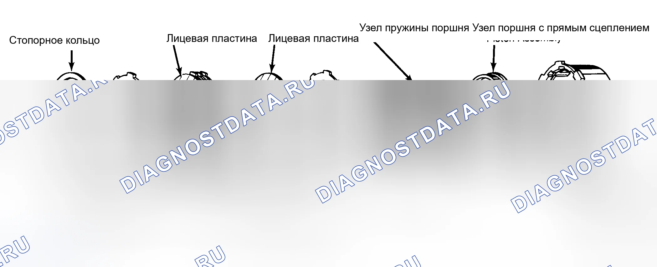 Рис. 49: Покомпонентный вид прямого сцепления в сборе. Buick Electra V