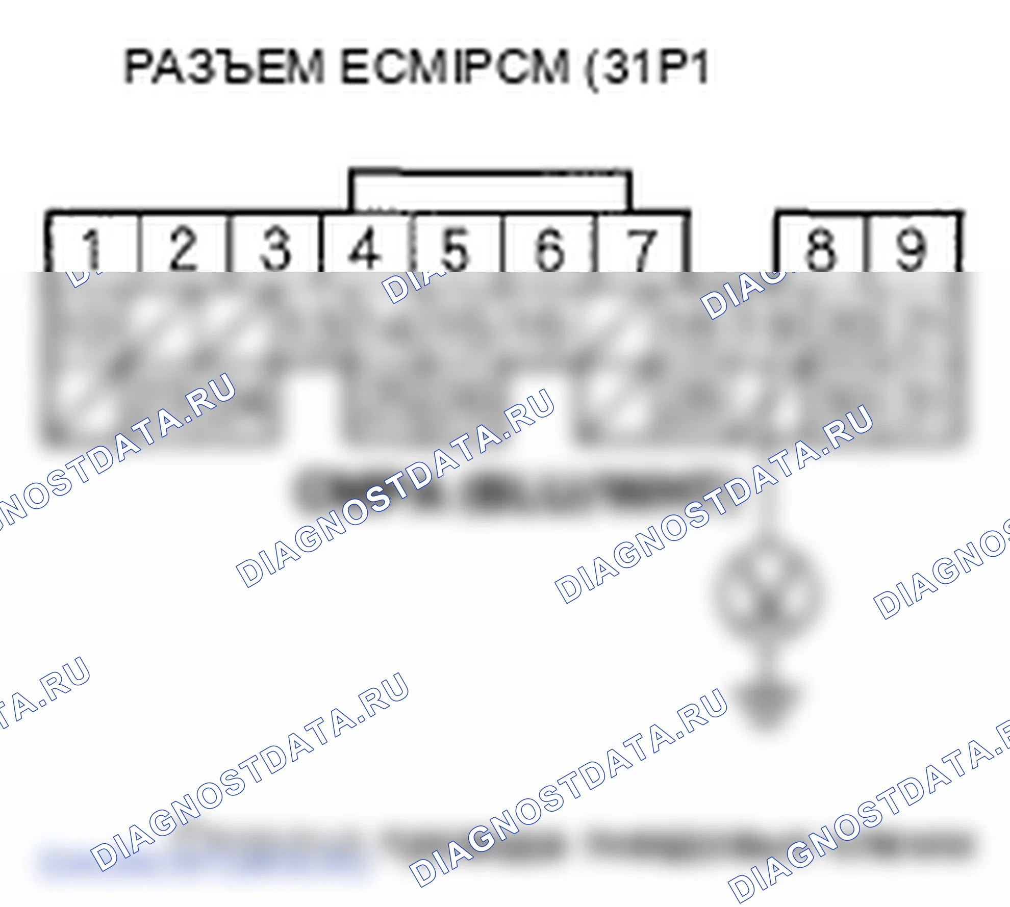 Рис. 101. Honda Element YH2 рестайлинг 2