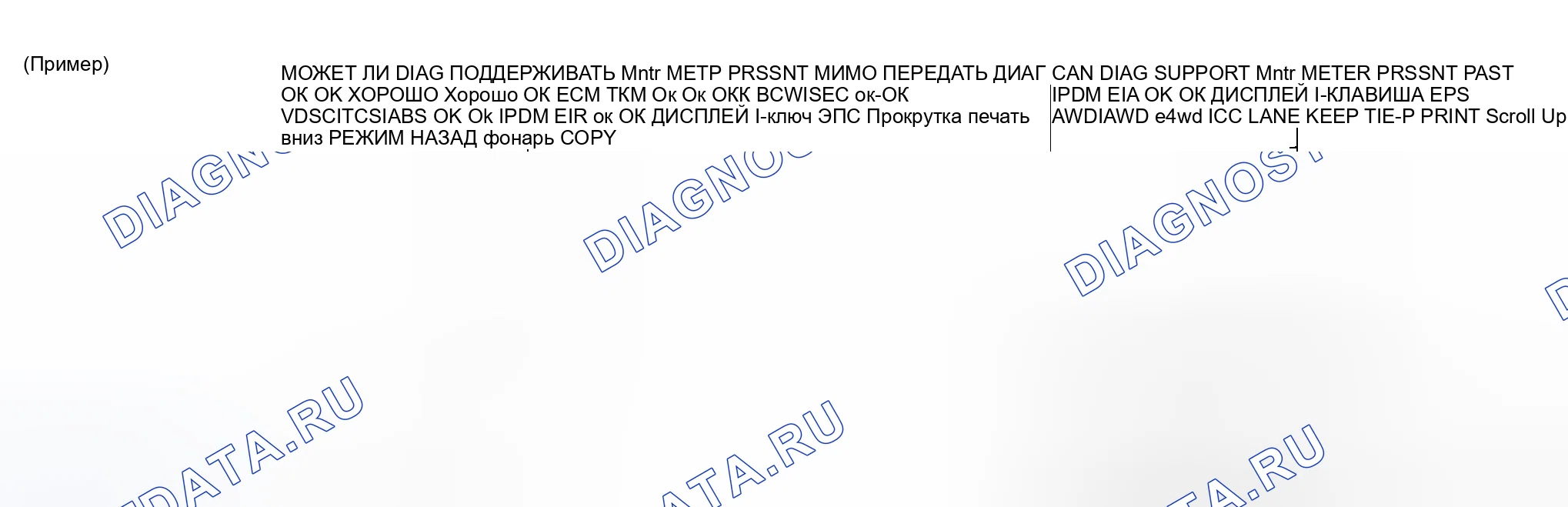 Рис. 22: ОПИСАНИЕ ЭКРАНА " CAN DIAG SUPPORT Mntr " ДЛЯ РАСХОДОМЕРА. Honda Lagreat I
