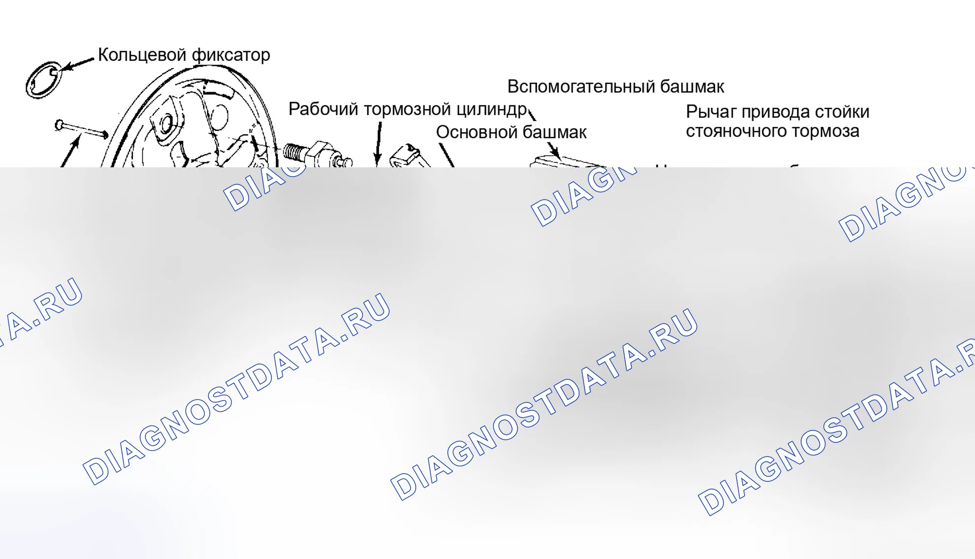 Рис. 6: Разнесенный вид заднего барабанного тормоза в сборе. Chevrolet Camaro III рестайлинг
