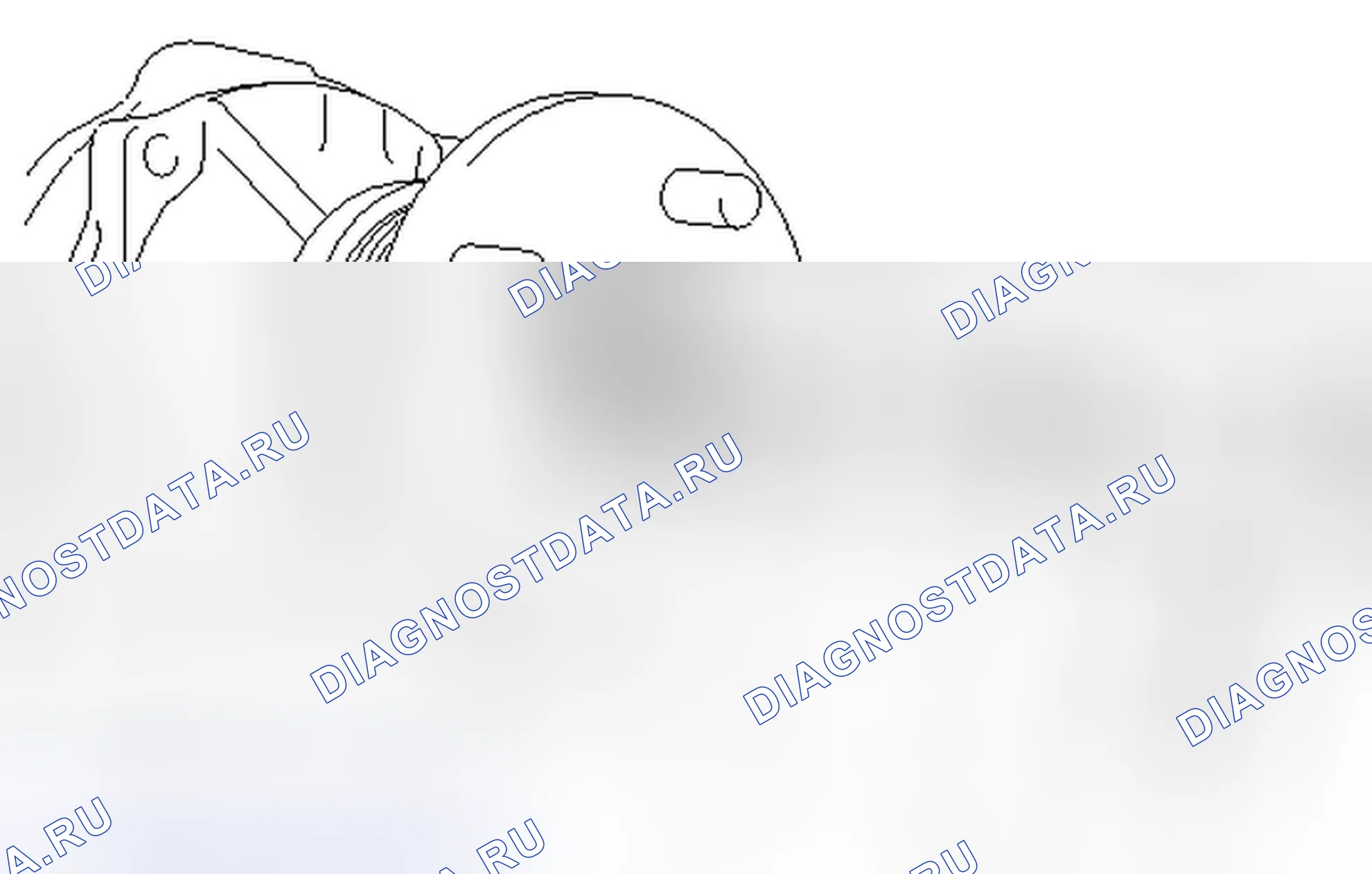 Рис. 407. Toyota Tacoma II рестайлинг