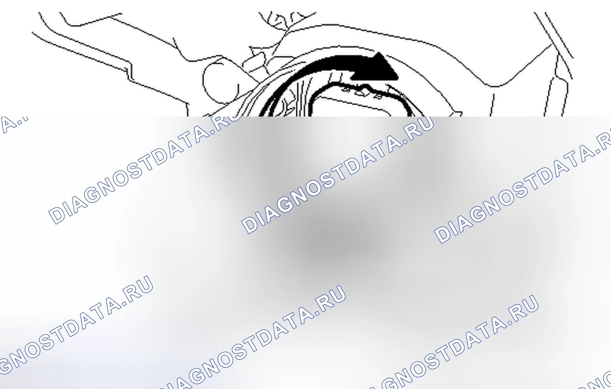 Рис. 115. Haval Raptor I