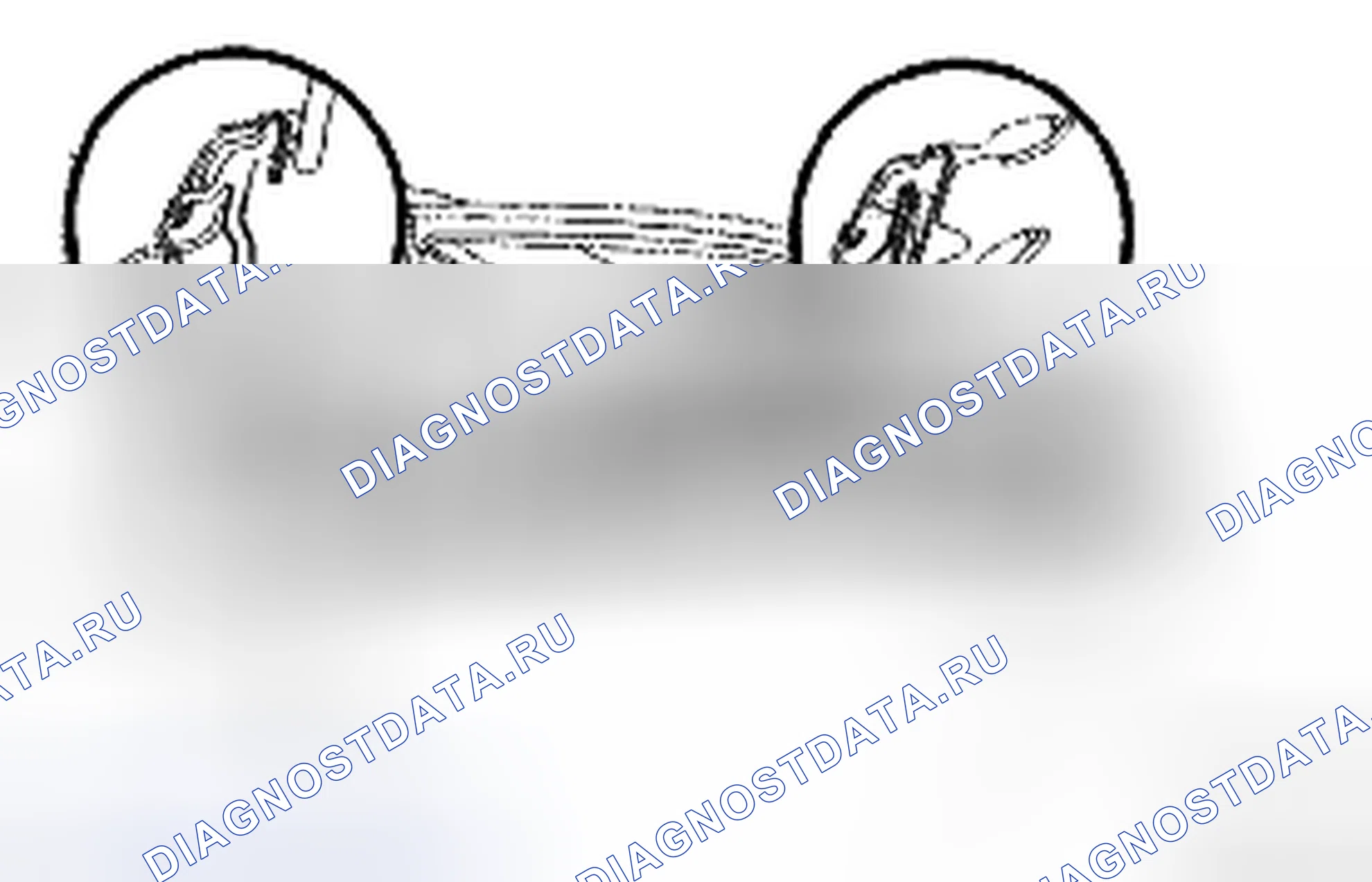Рис. 107. Toyota Camry XV40