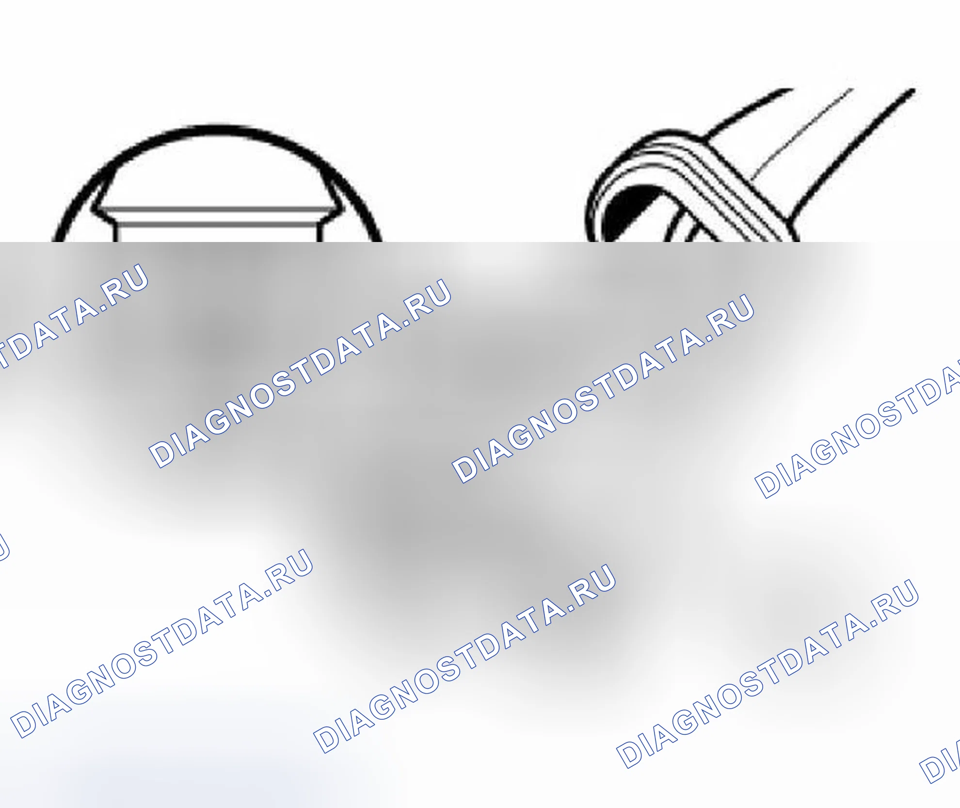 Рис. 223. BMW X5 E53