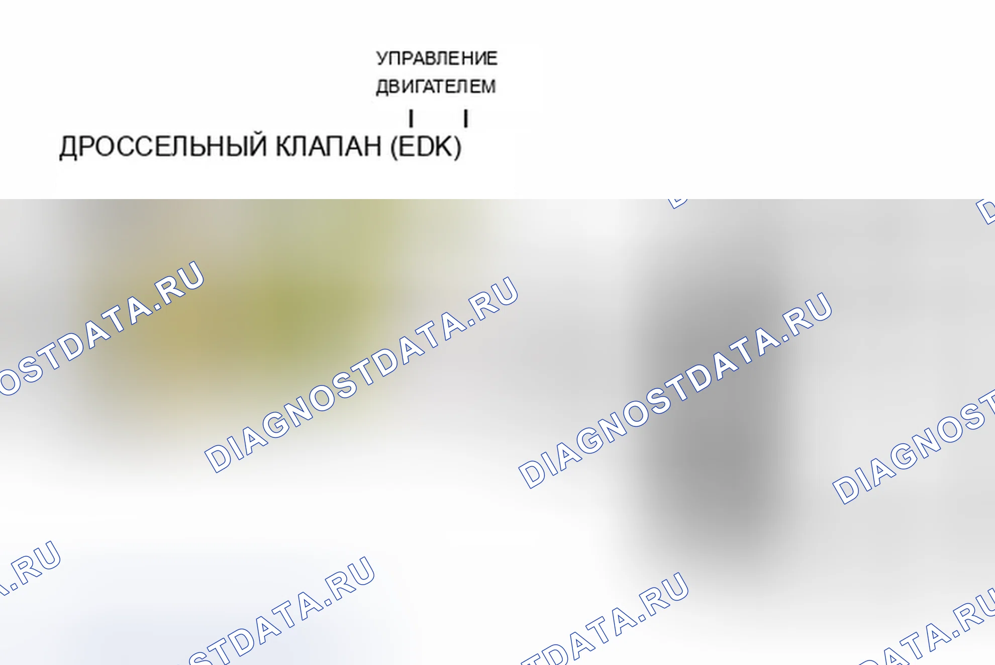 Рис. 525: Схема идентификации сигналов обратной связи положения дроссельной заслонки EDK. BMW X5 E53