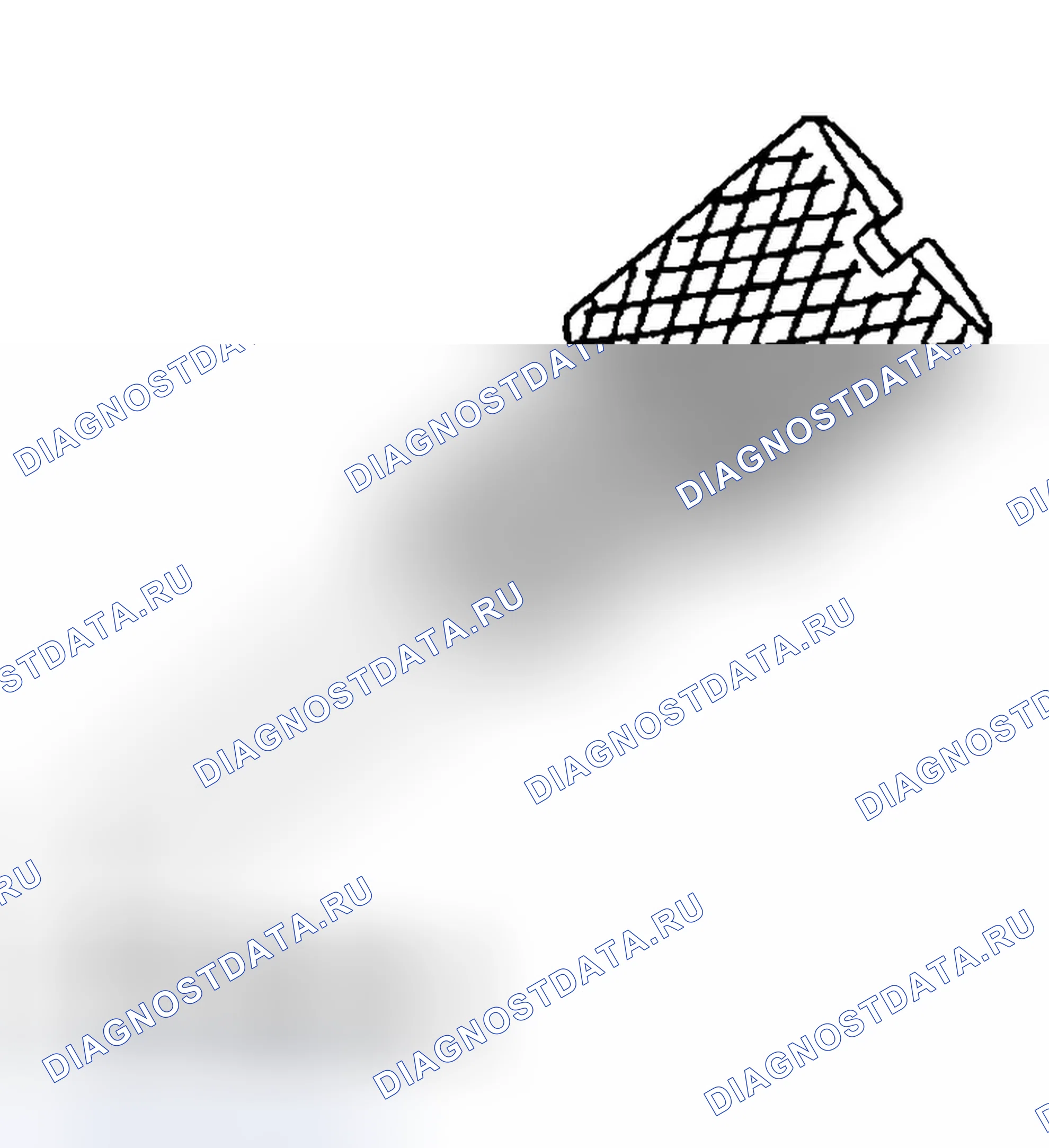 Рис. 1493. Ford Focus I рестайлинг