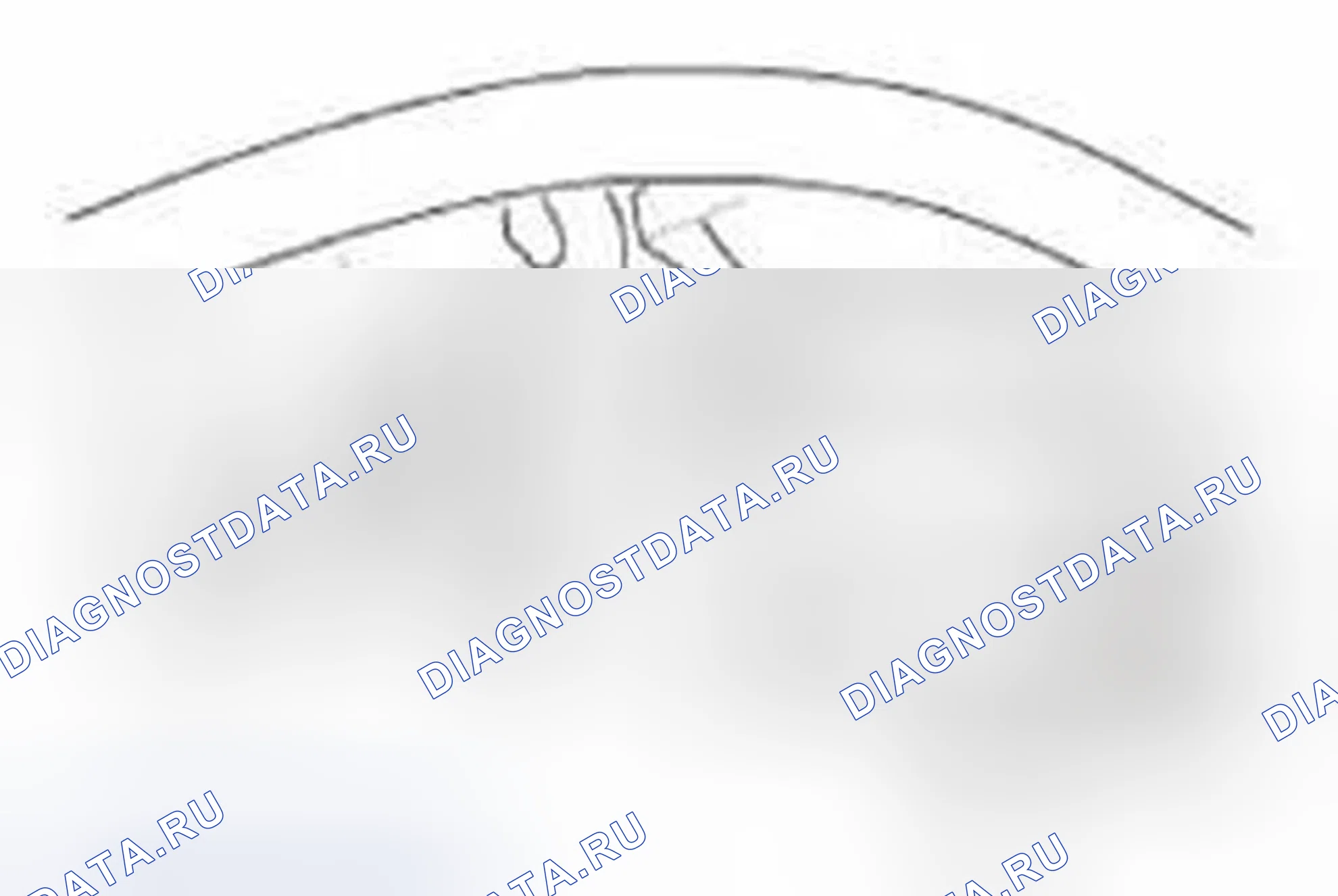 Рис. 1014. Honda Civic IX