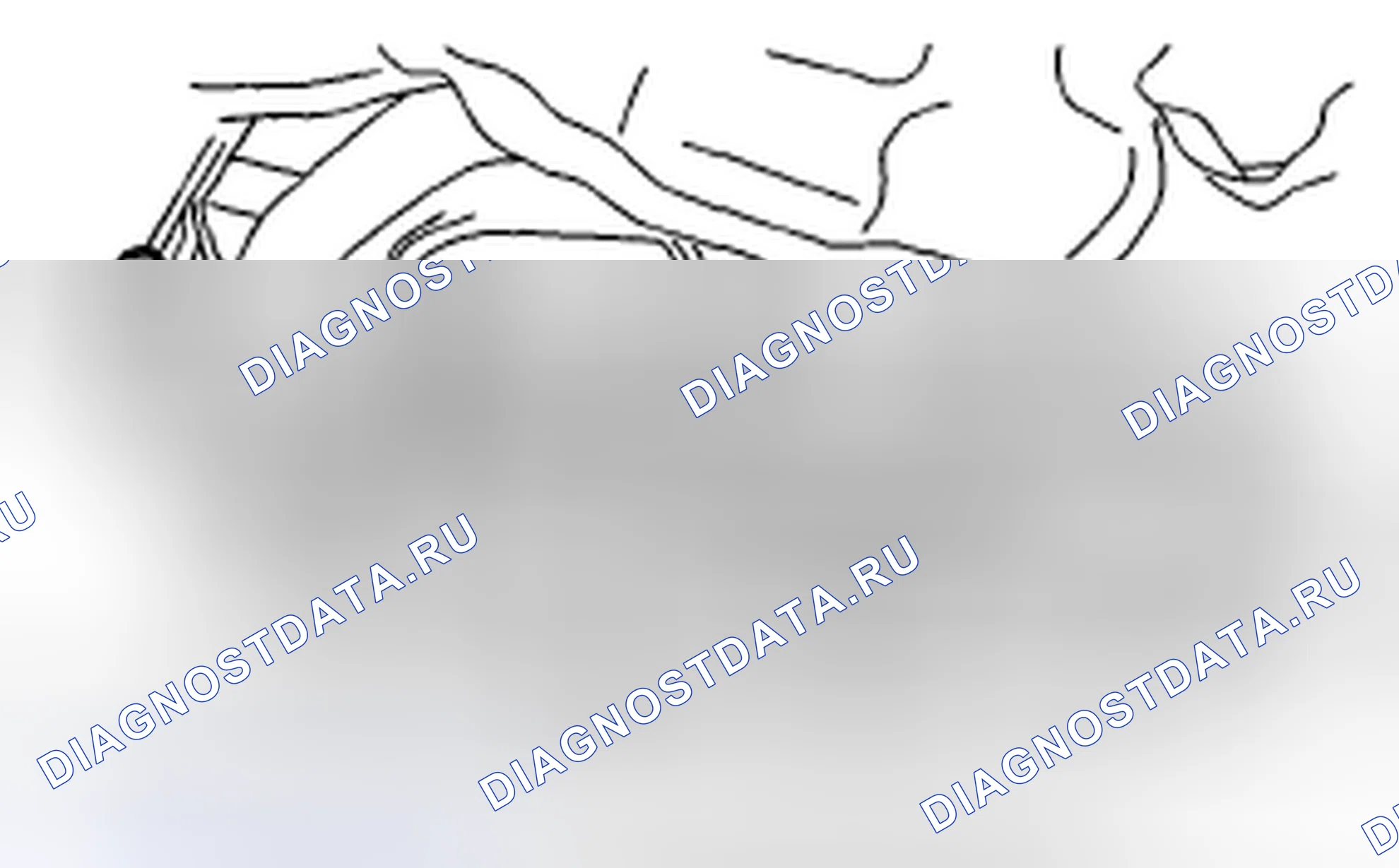 Рис. 351. Subaru Impreza GH