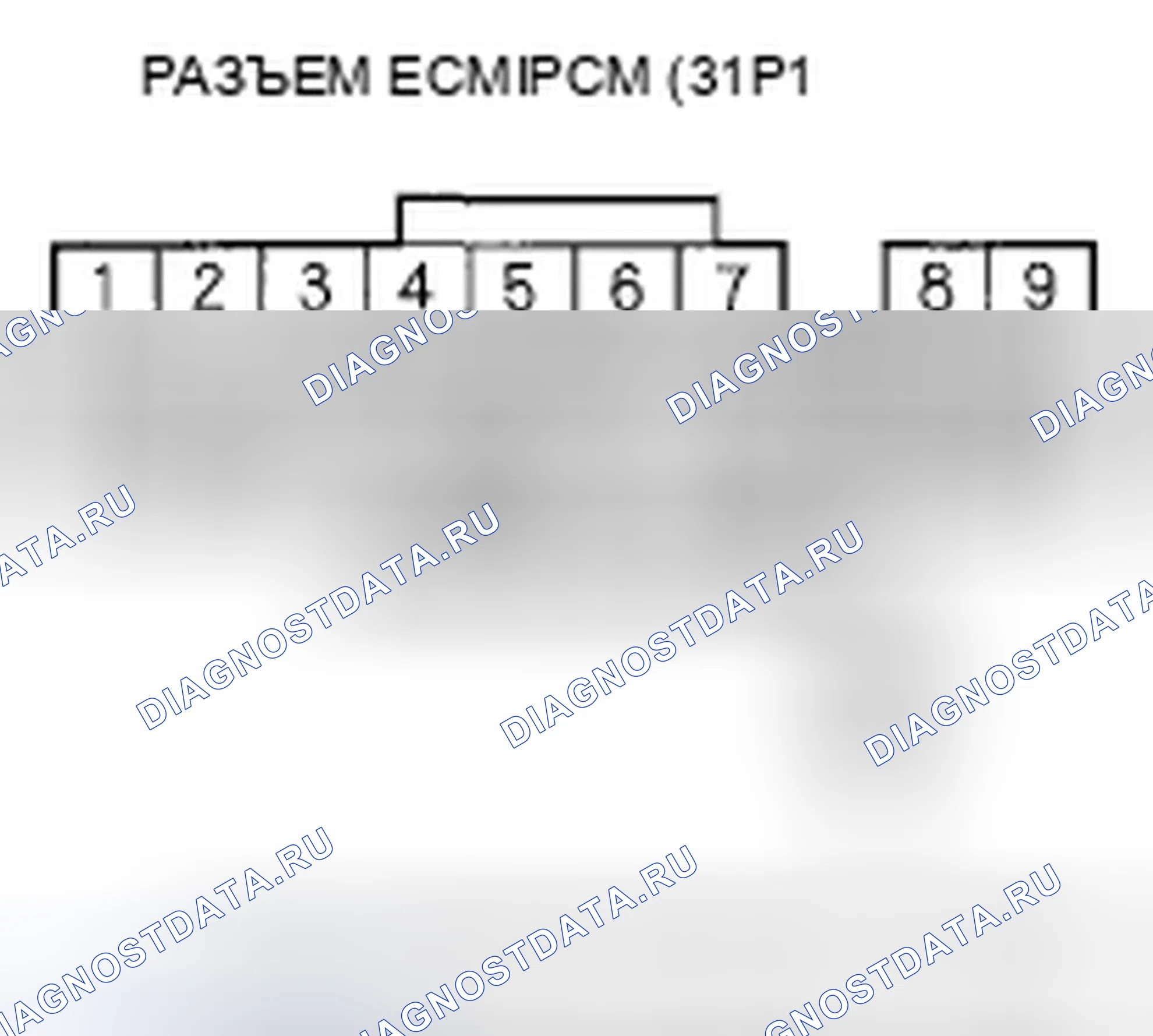Рис. 268. Honda Element YH2 рестайлинг