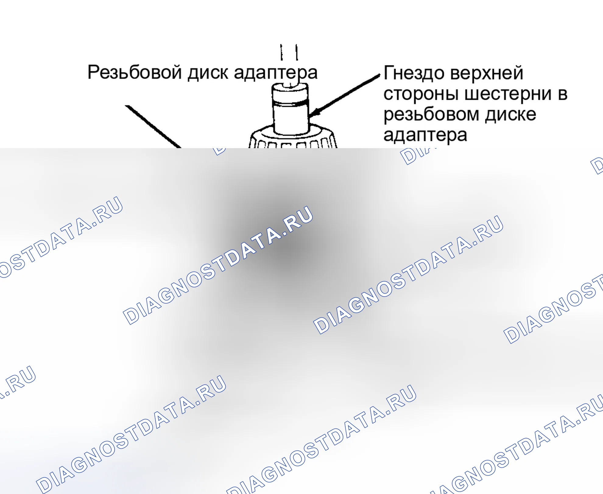 Рис. 2. Dodge Dakota WS 