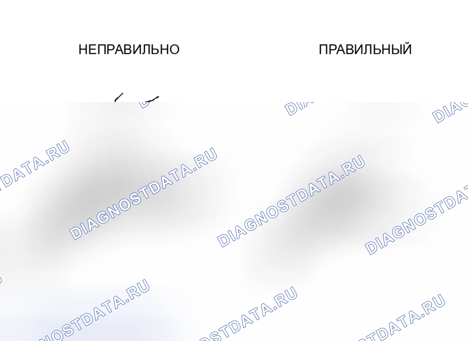 Рис. 9. Haval Xiaolong Max I