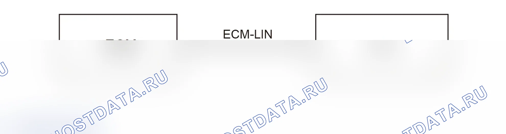 Схема системы - ECM-LIN — Tank 300. Tank 300 I