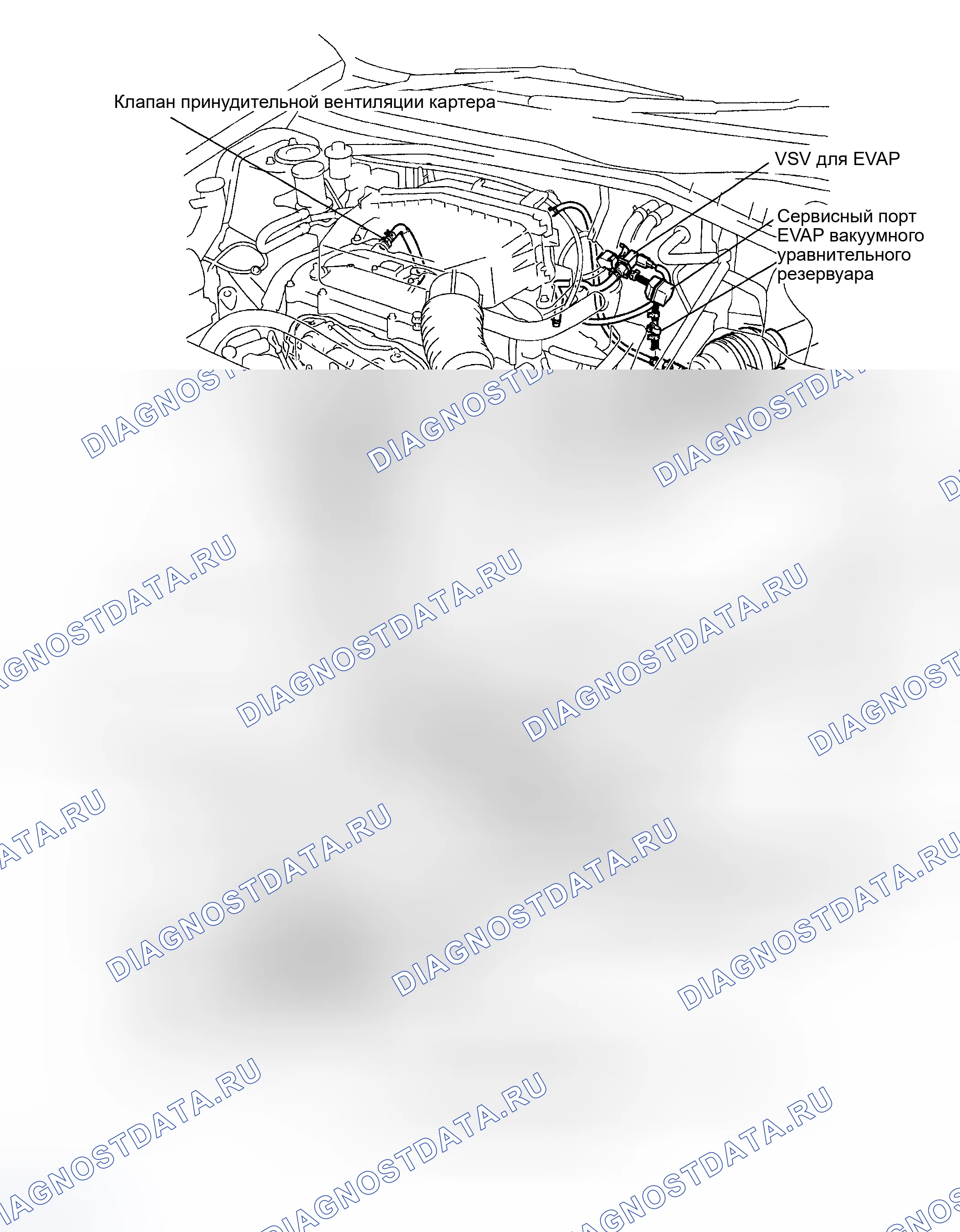 Рис. 5: РАСПОЛОЖЕНИЕ. Toyota RAV4 II рестайлинг