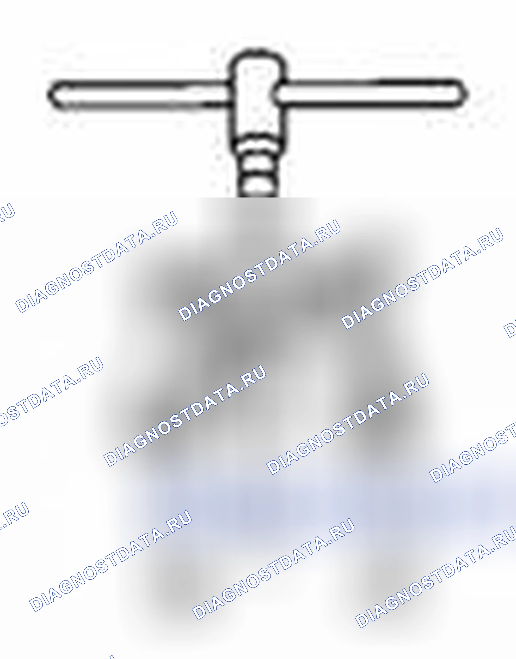 Рис. 210. Suzuki Equator I