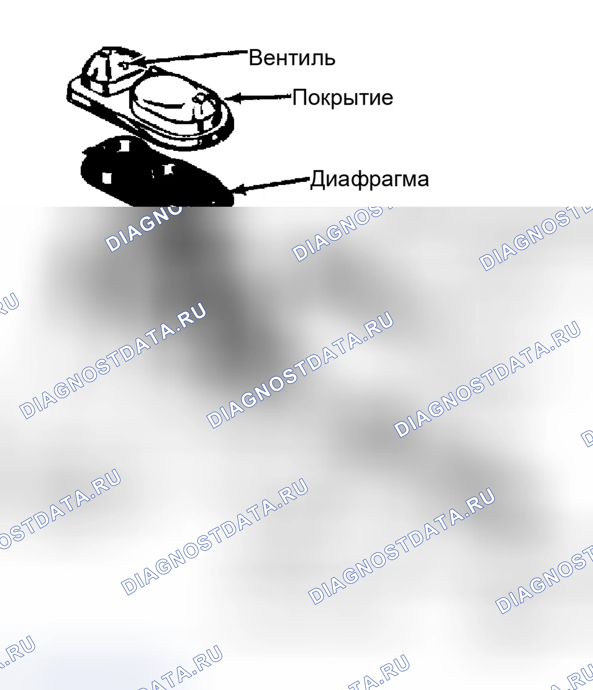 Рис. 25. Ford Ranger 