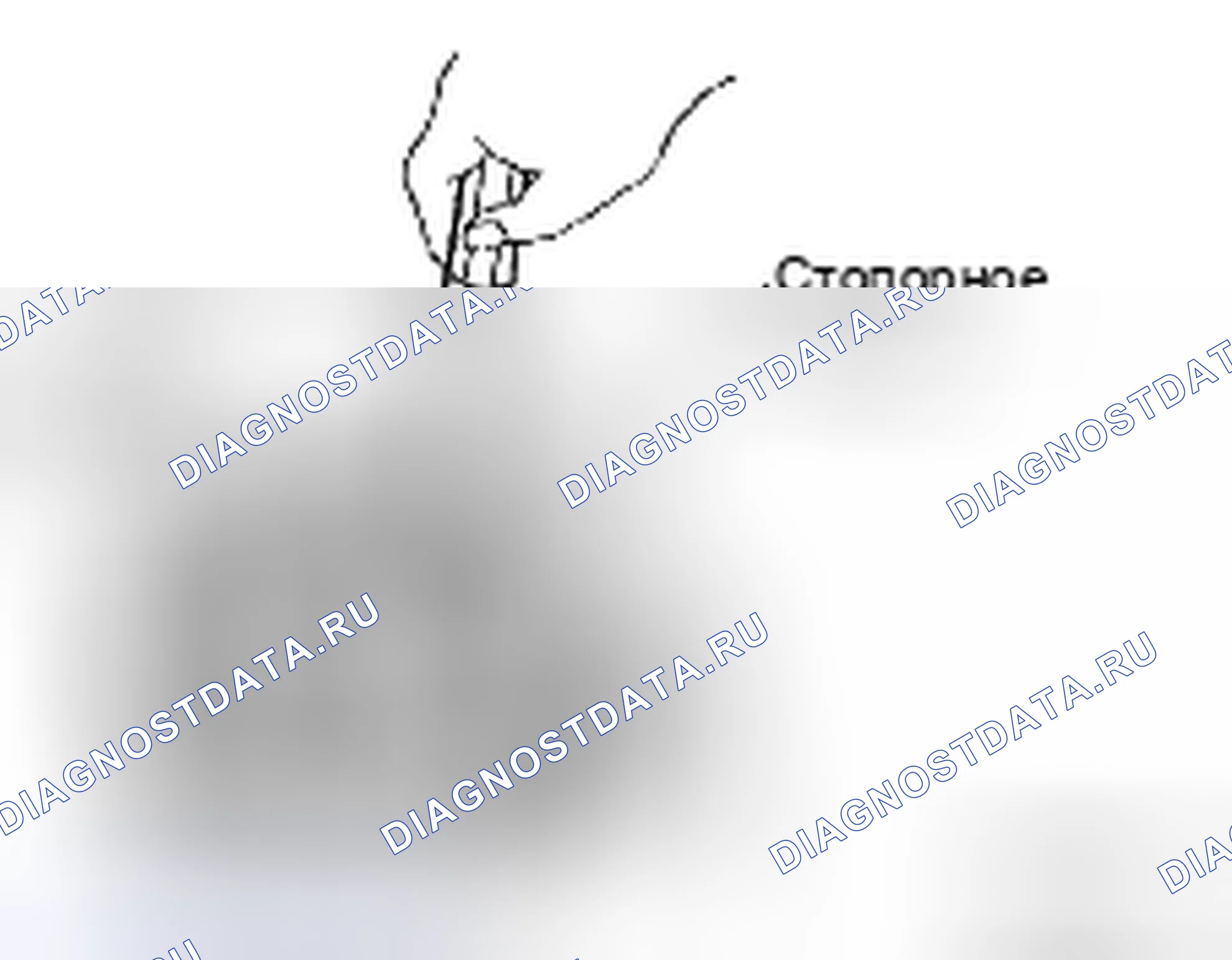 Рис. 283. Toyota Camry XV40