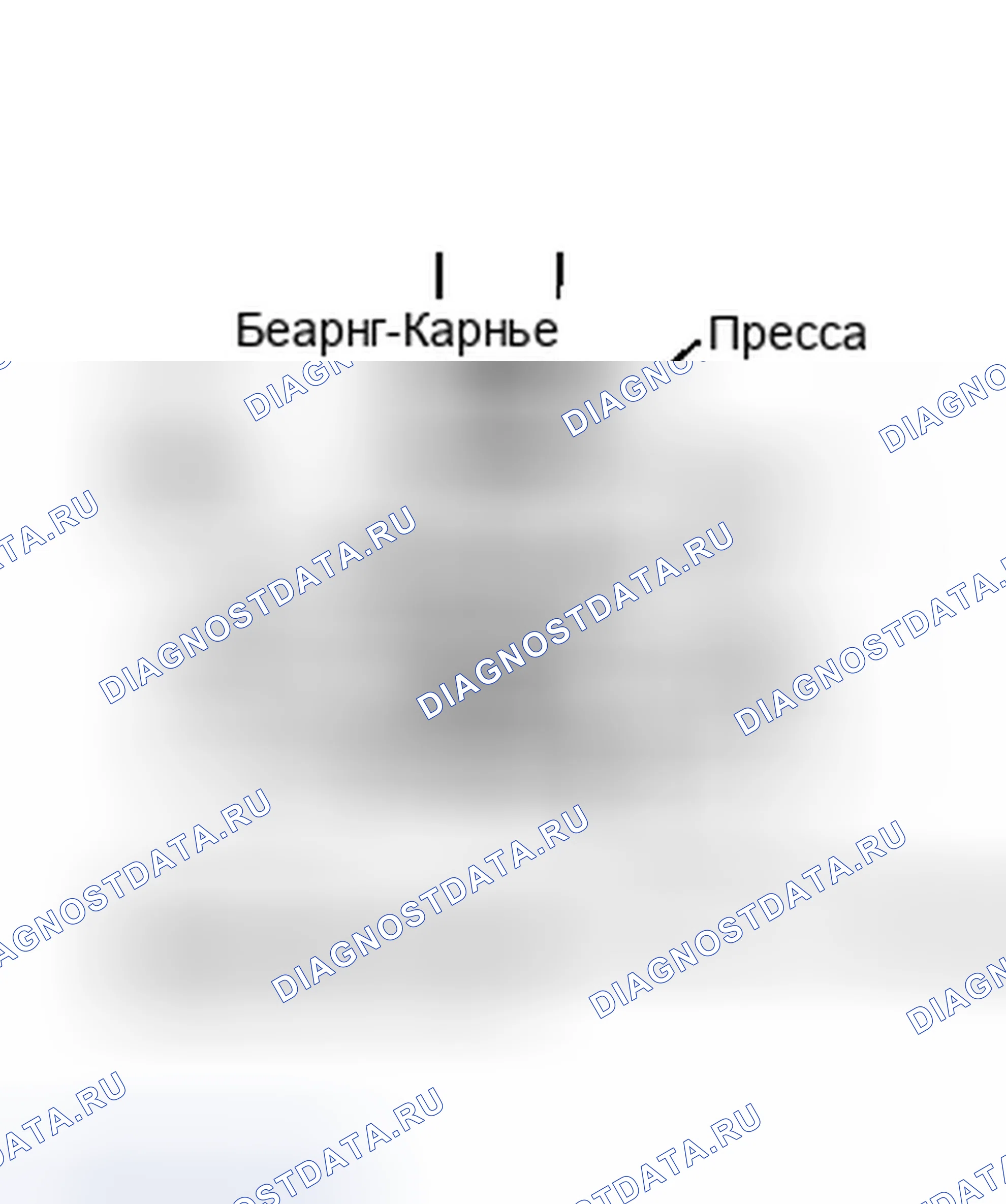 Рис. 2. Jeep Cherokee II